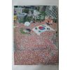 2002년 사회과 탐구 6-2