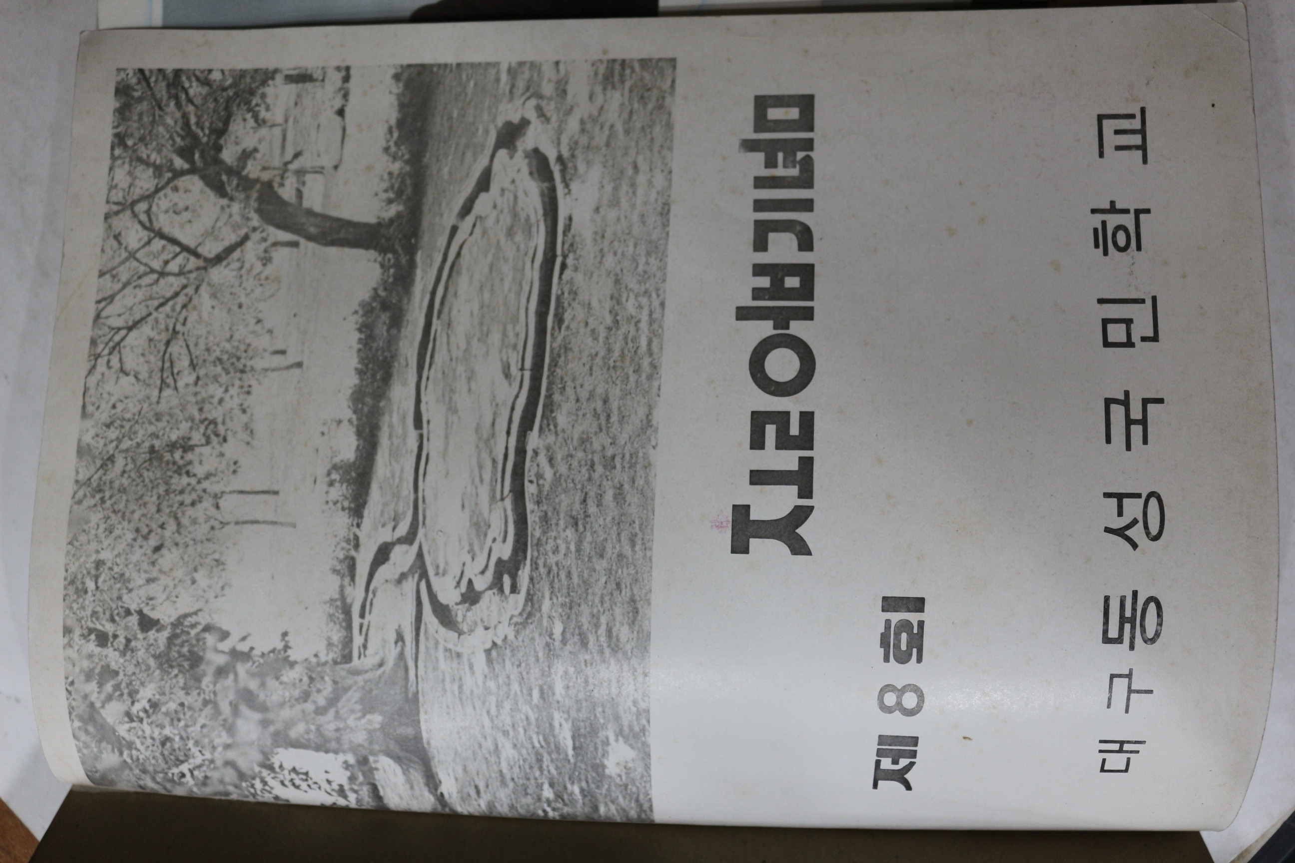 1979년 대구동성국민학교 제8회 졸업기념 앨범