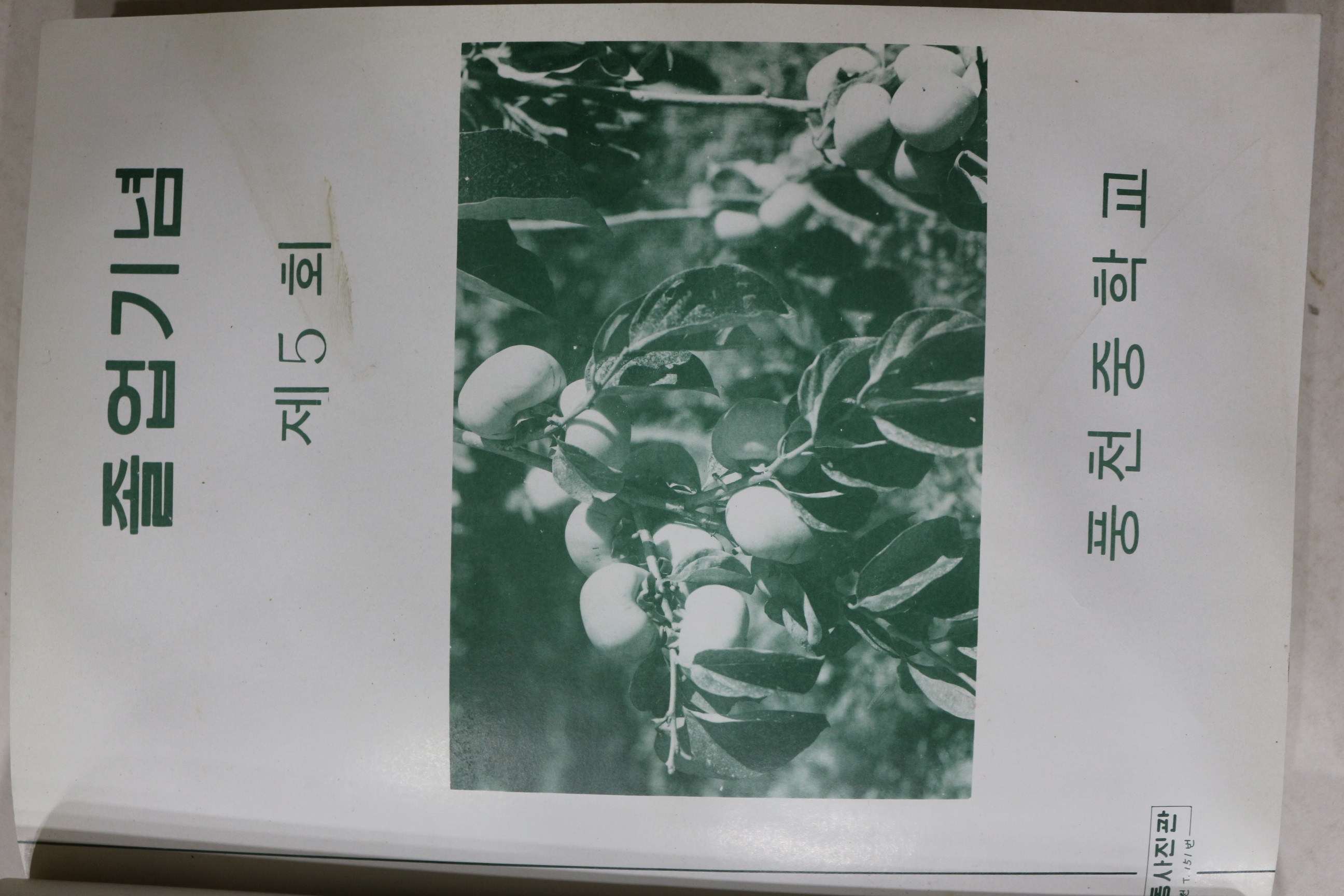 1978년 풍천중학교 제5회 졸업기념 앨범
