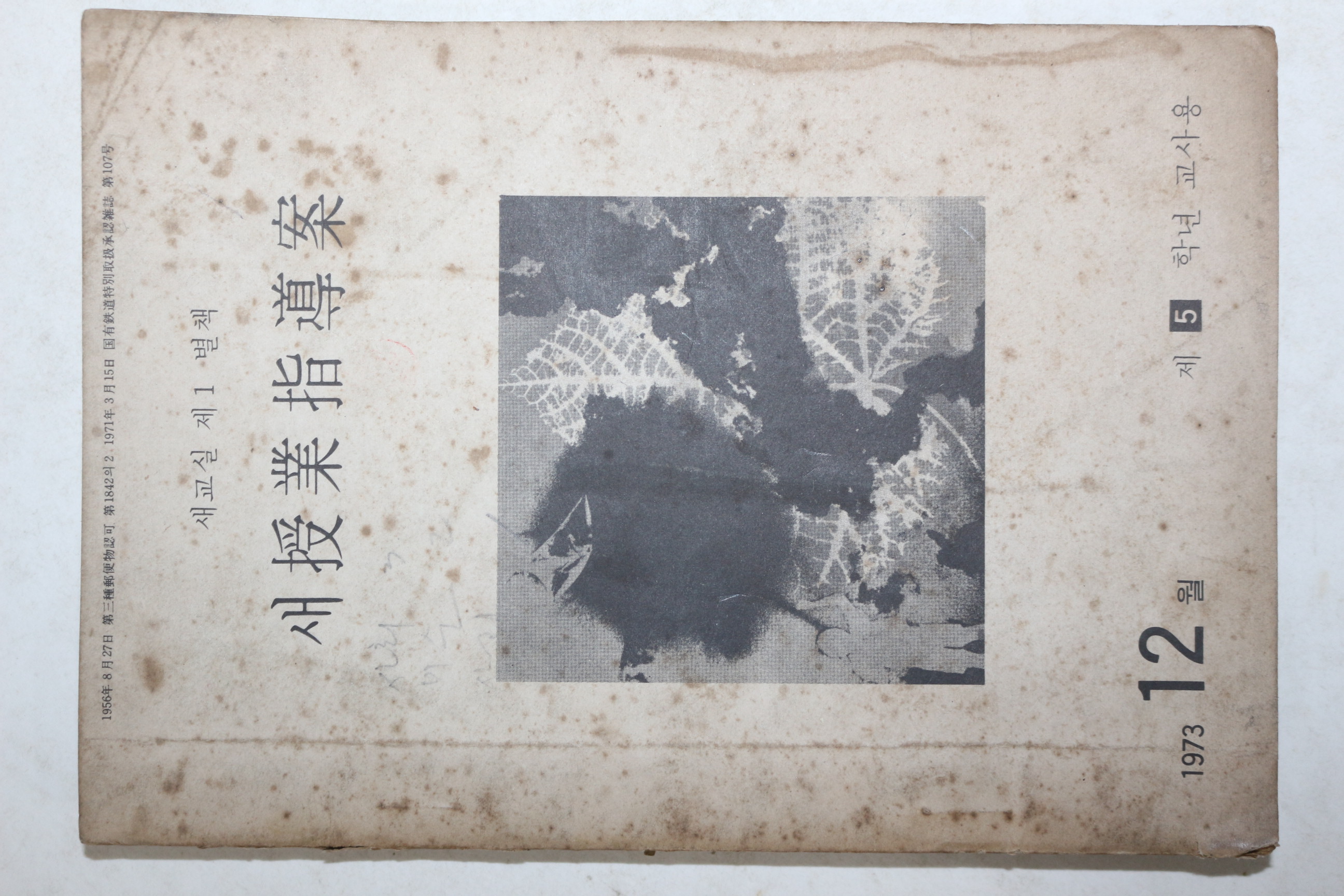 1973년 새수업지도안