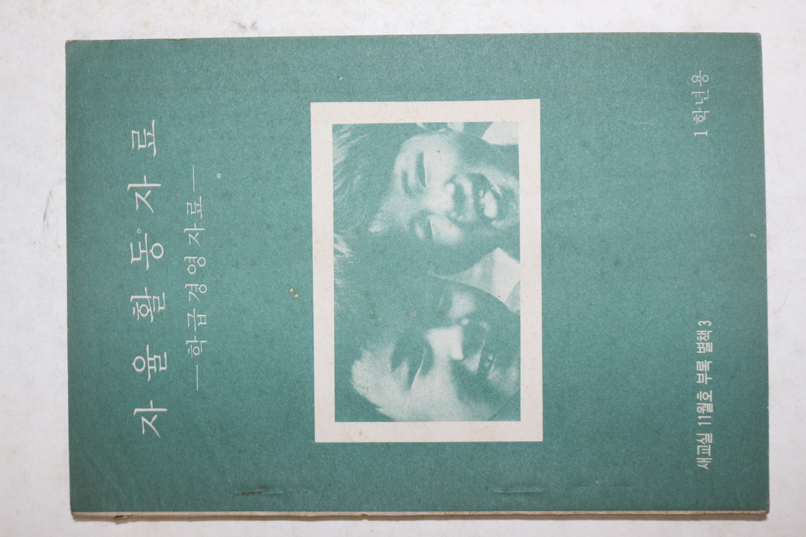 1970년대 자율활동자료