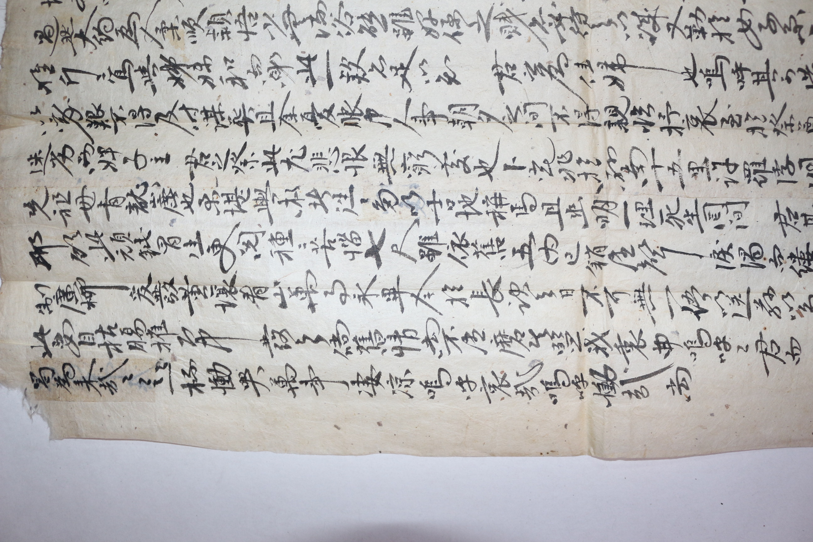 14-1724년(上之4年甲辰) 장문의 문서