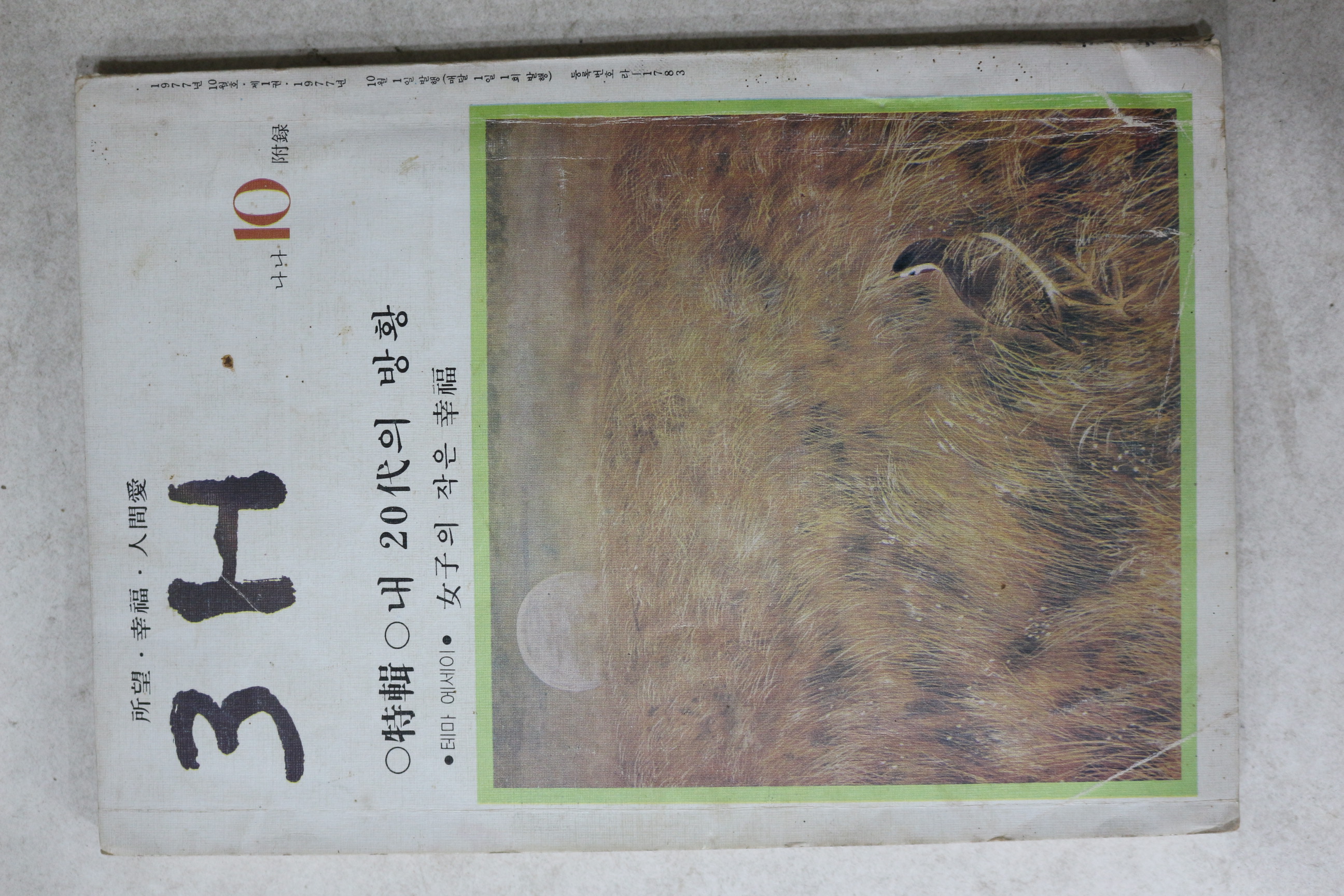 1977년 3H 10월호