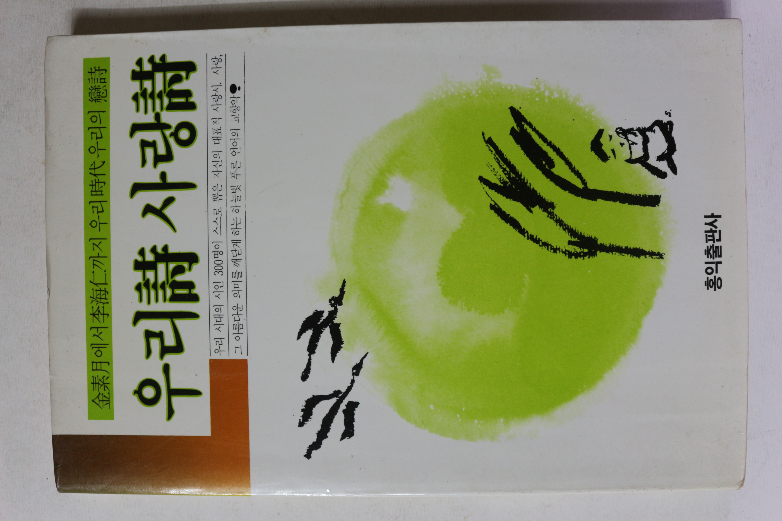 1987년초판 우리시 사랑시