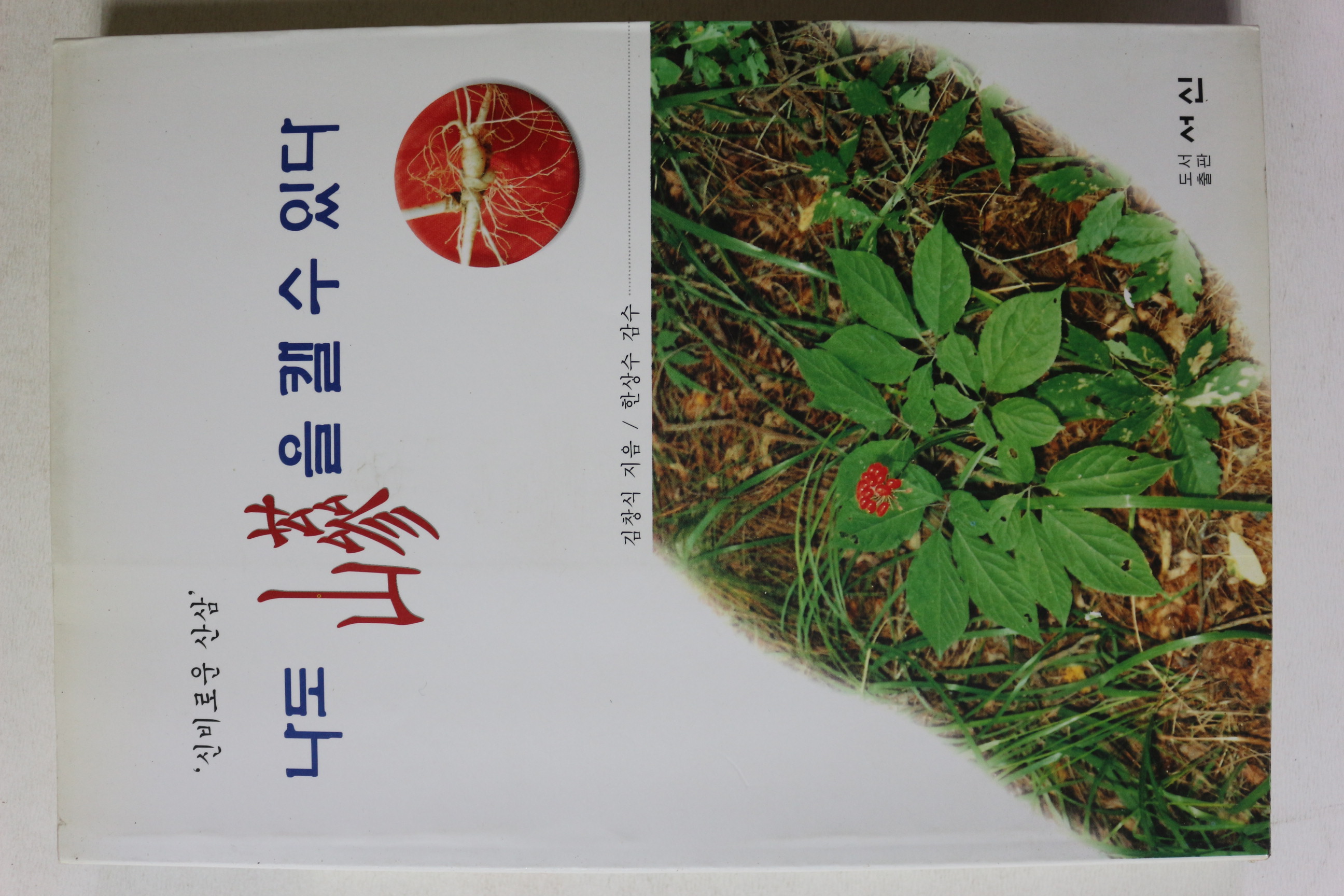 2001년초판 김창식 나도 산삼을 캘 수 있다