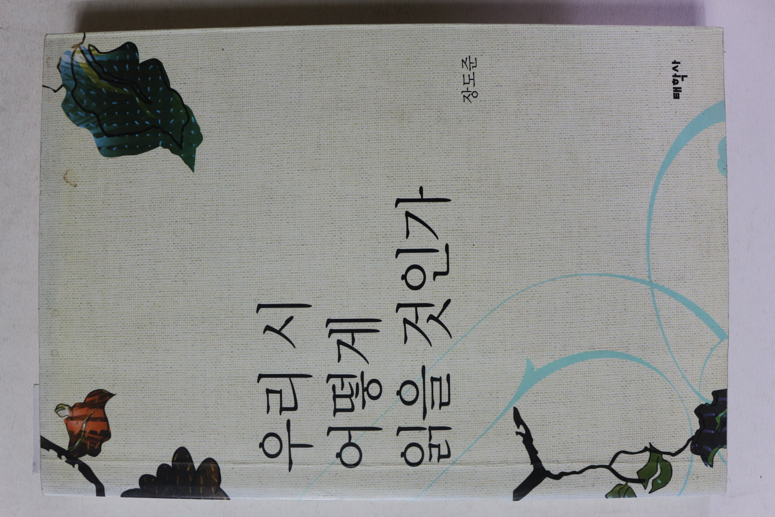 2009년 장도준 우리 시 어떻게 읽을 것인가