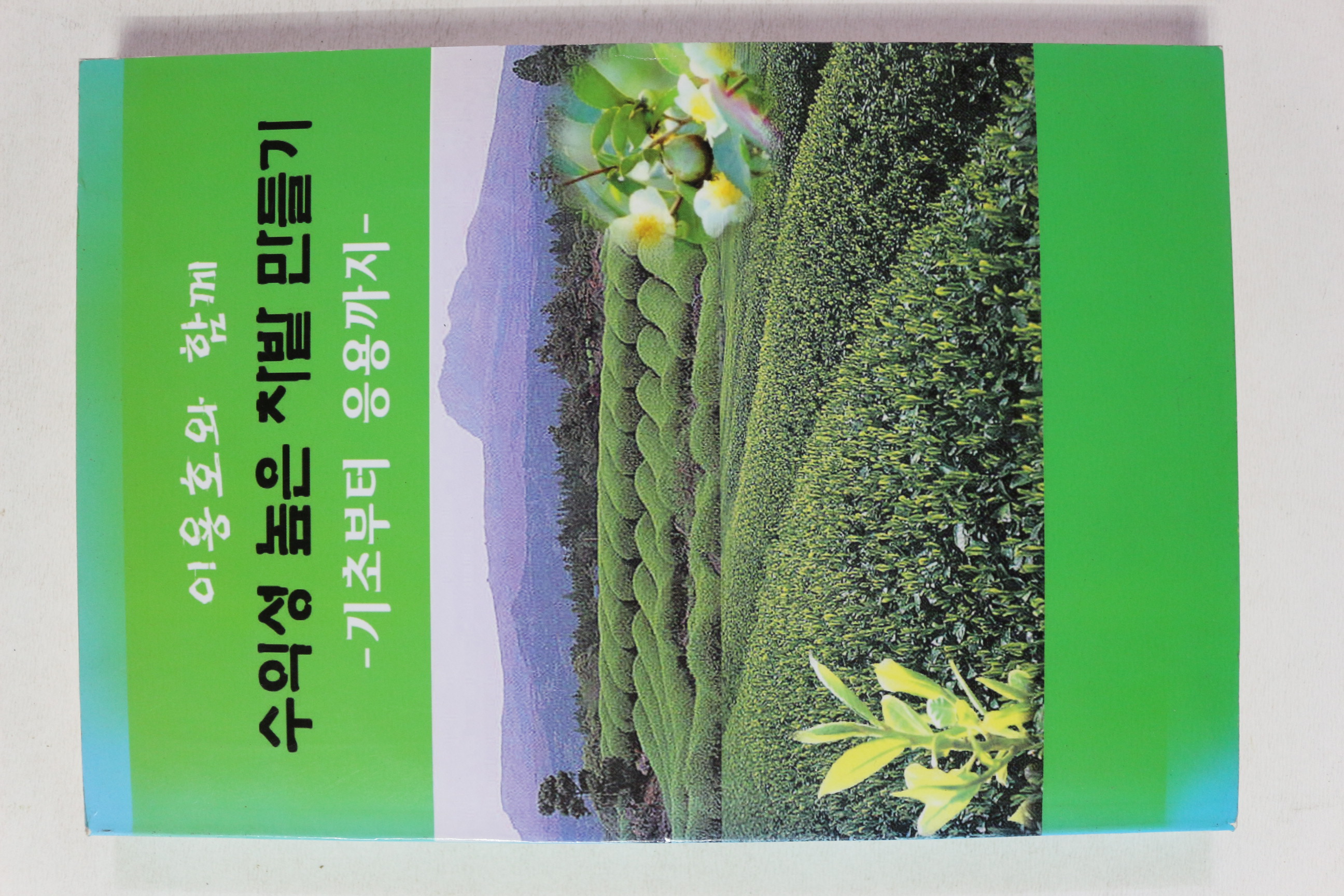 2004년 이용호와 함께 수익성 높은 차밭만들기