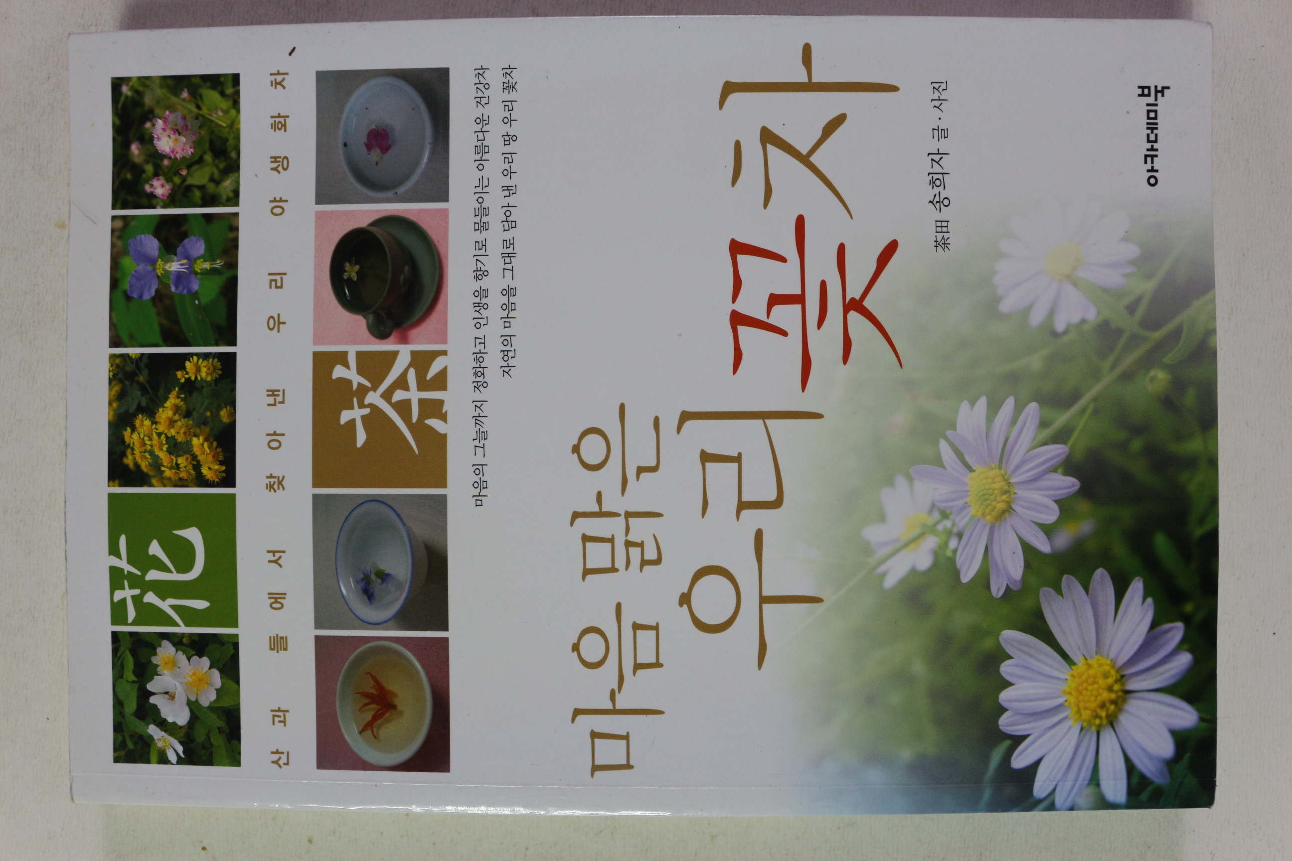 2004년초판 송희자 마음 맑은 우리 꽃차