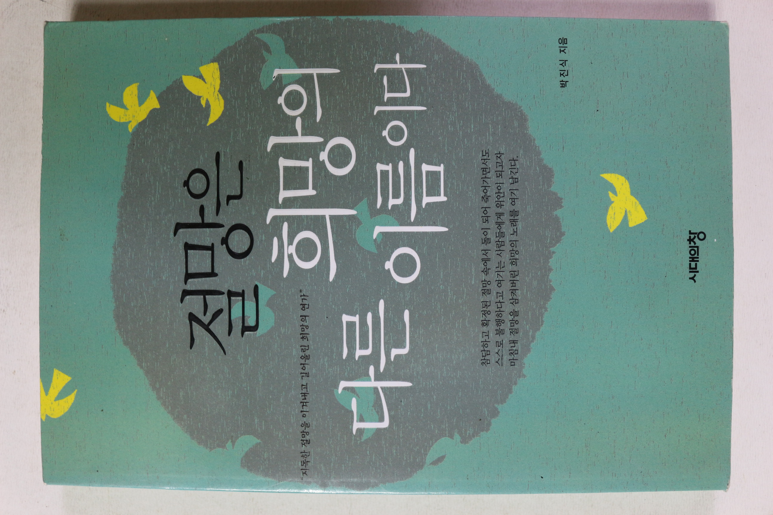 2002년 박진식 절망은 희망의 다른 이름이다