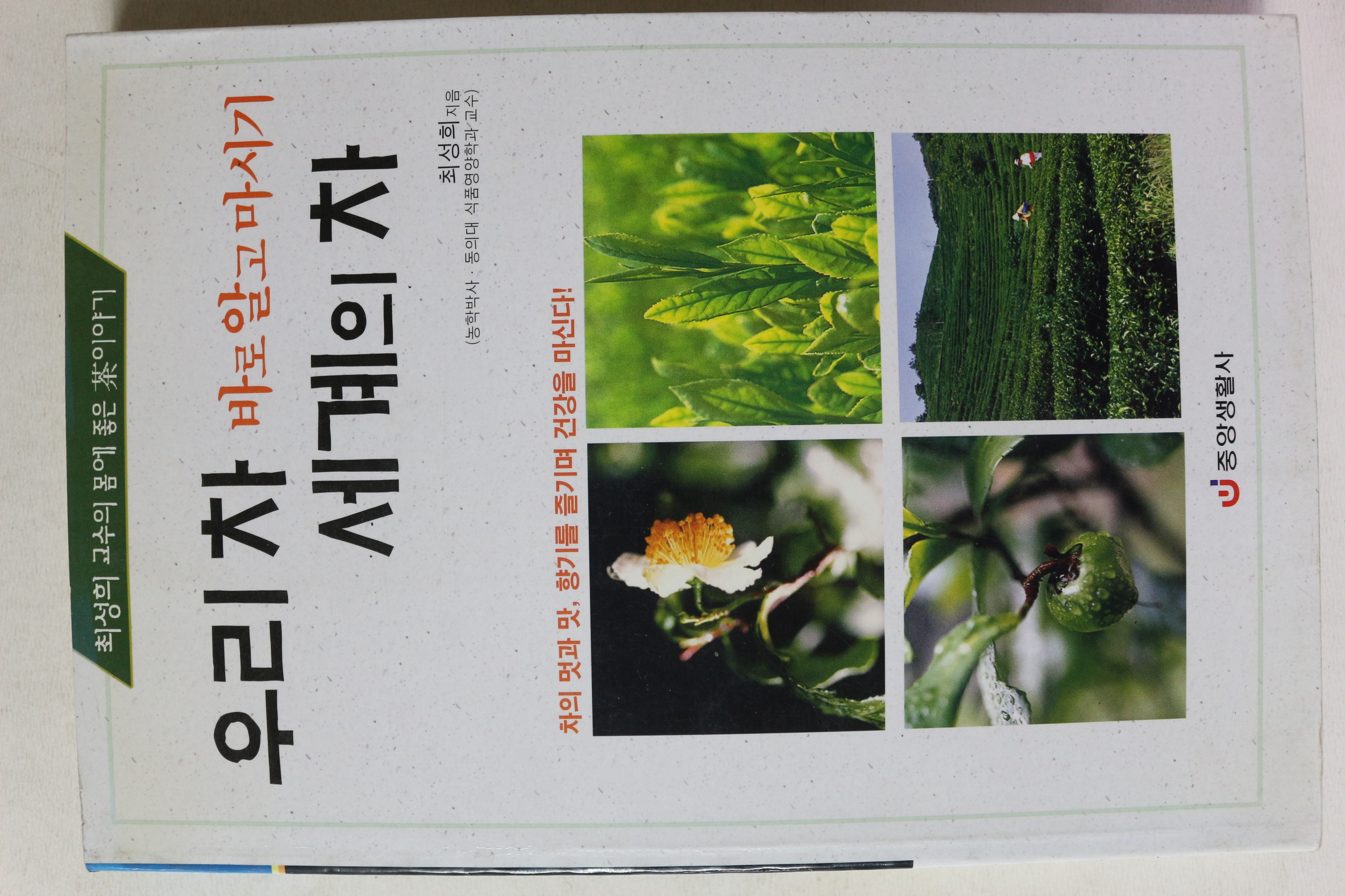 2002년초판 최성희 우리차 바로알고 마시기 세계의 차