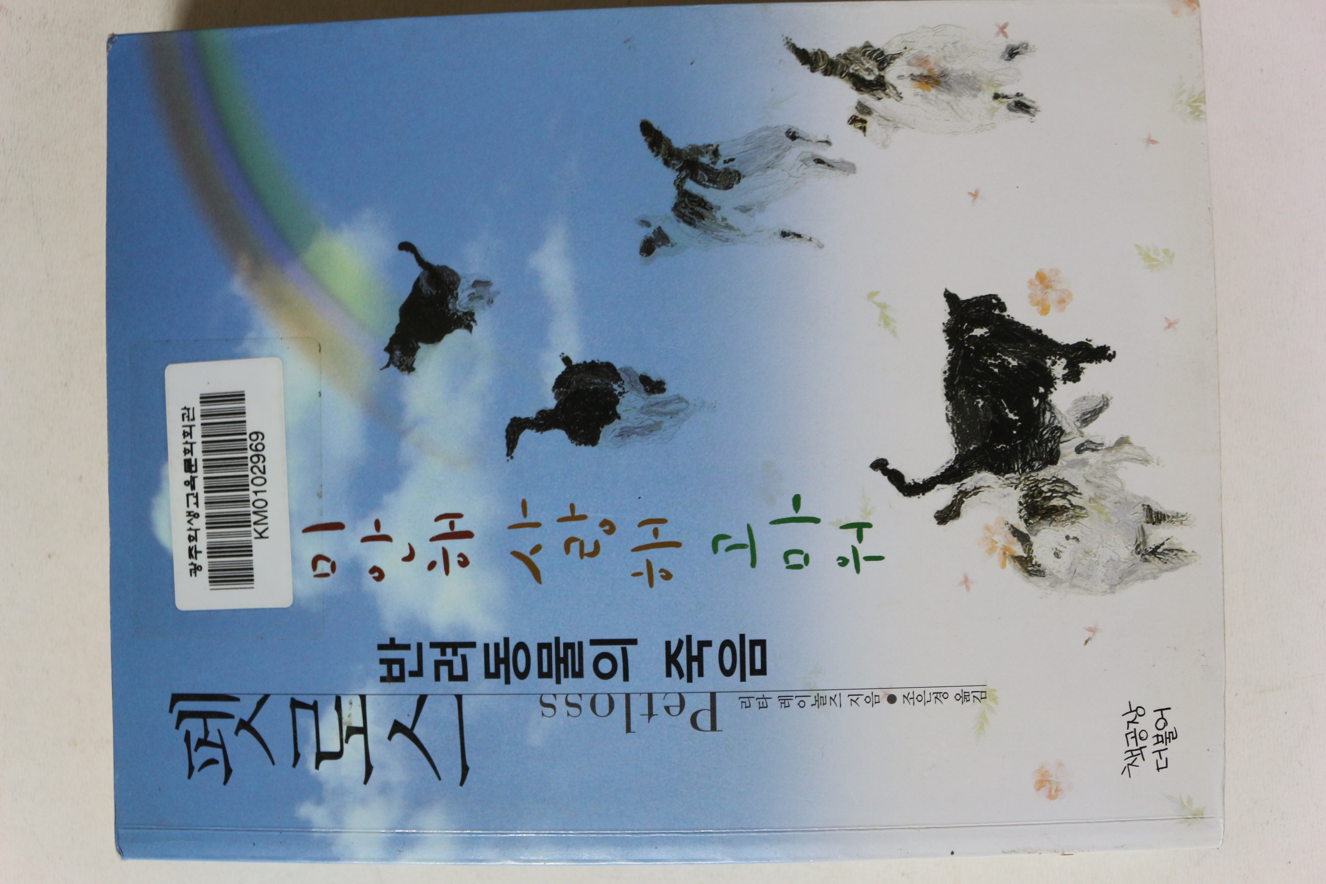 2009년 펫로스 반려동물의 죽음