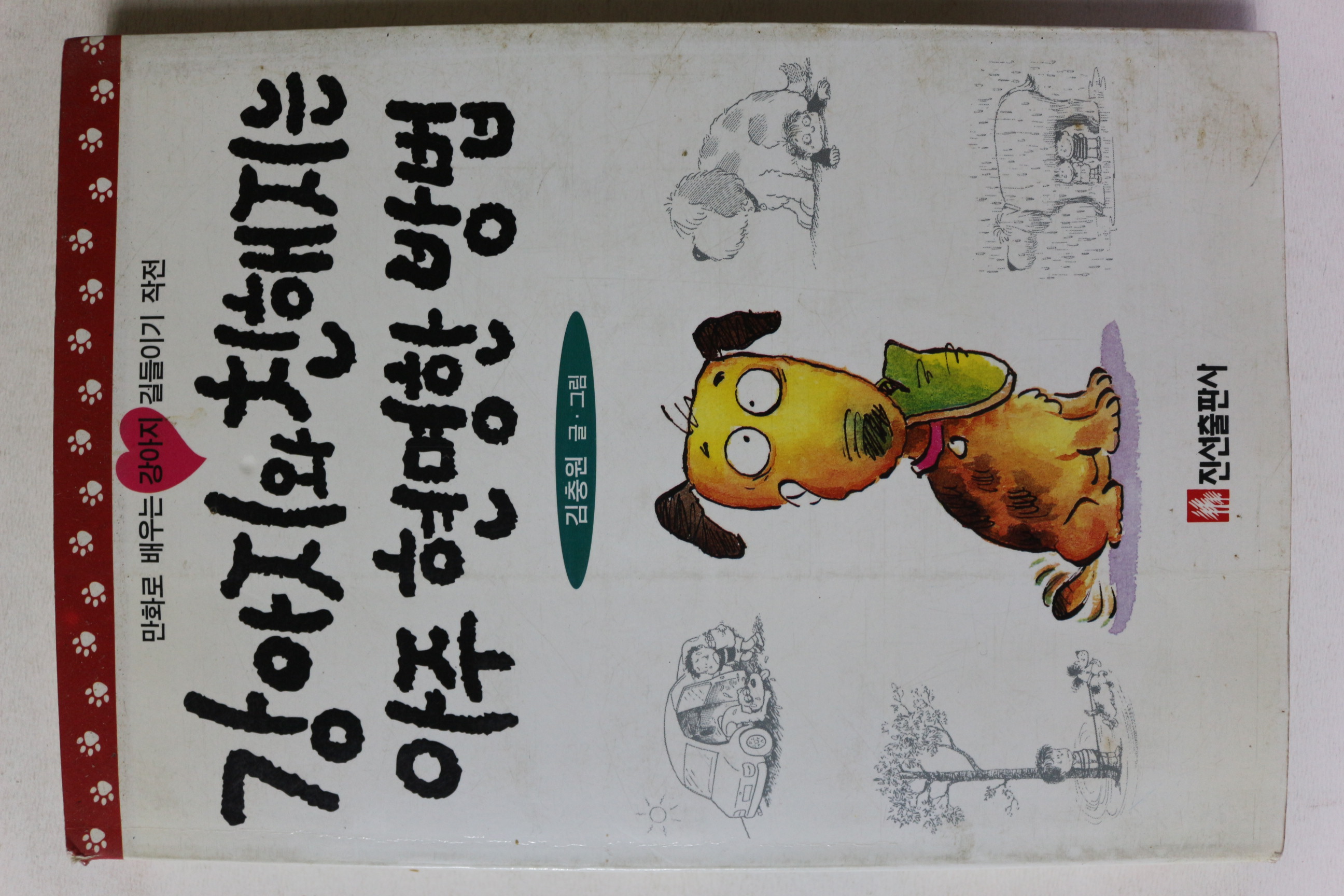 1995년 김충원 강아지와 친해지는 아주 현명한 방법