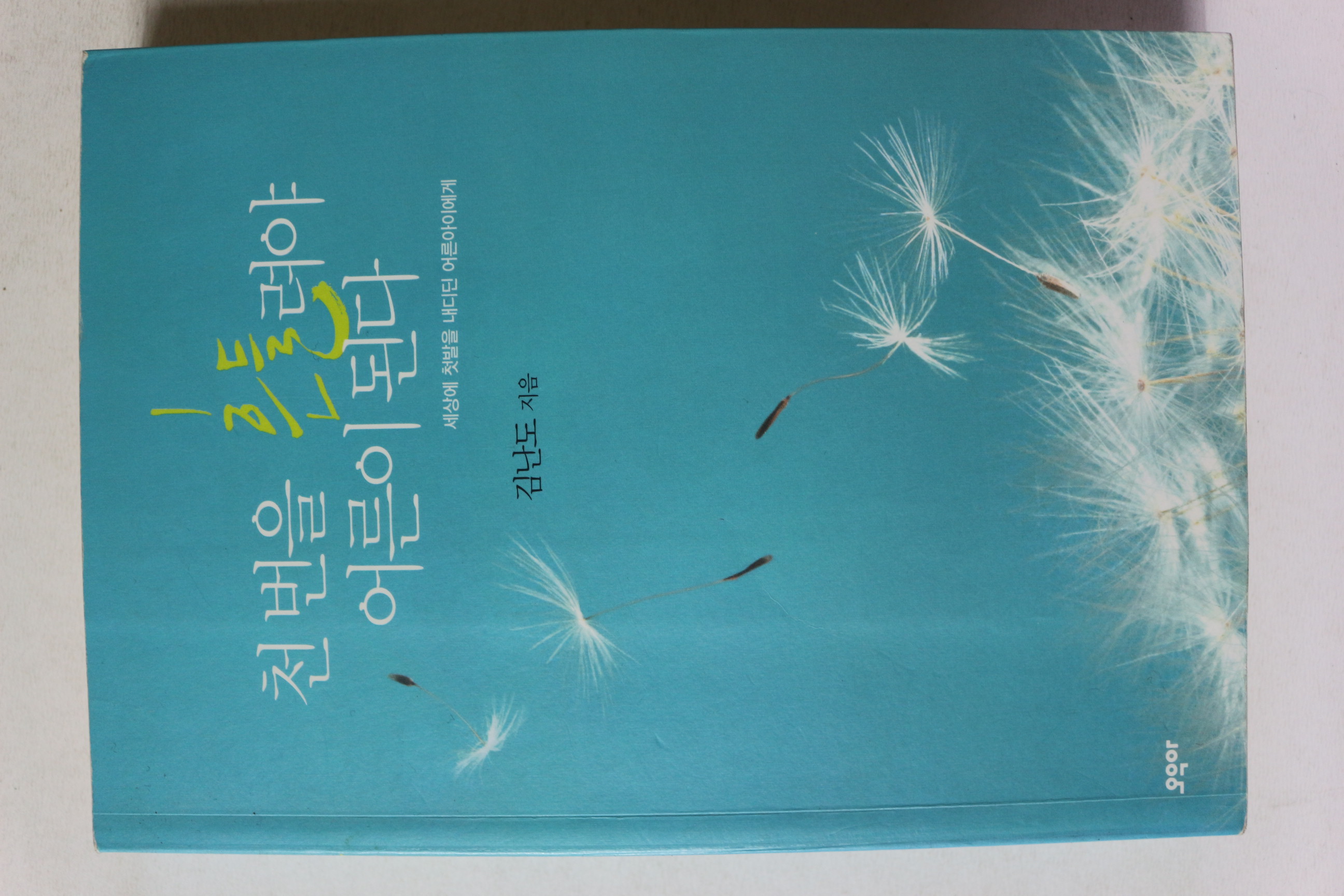 2012년 김난도 천번을 흔들려야 어른이 된다