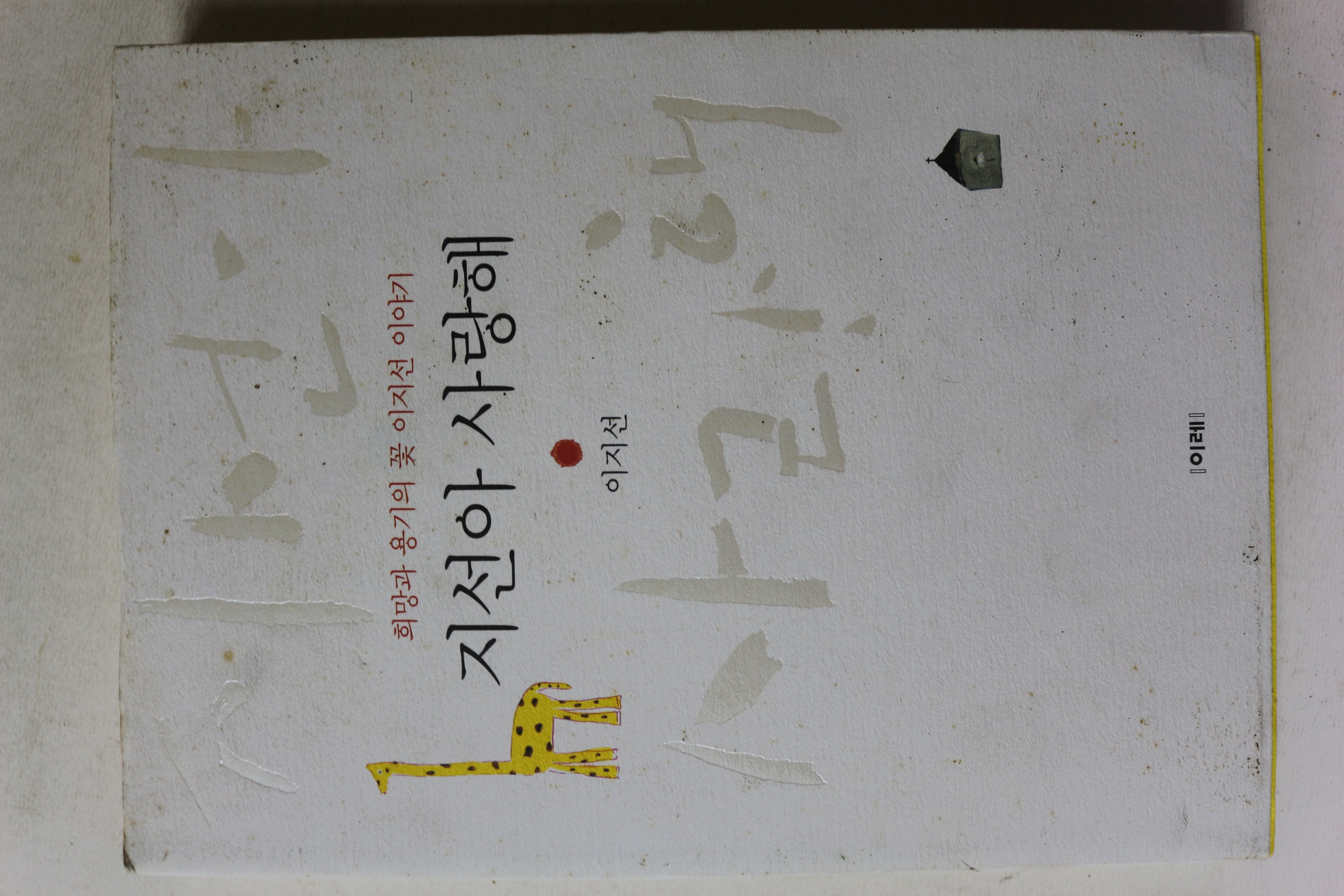 2003년 이지선 지선아 사랑해