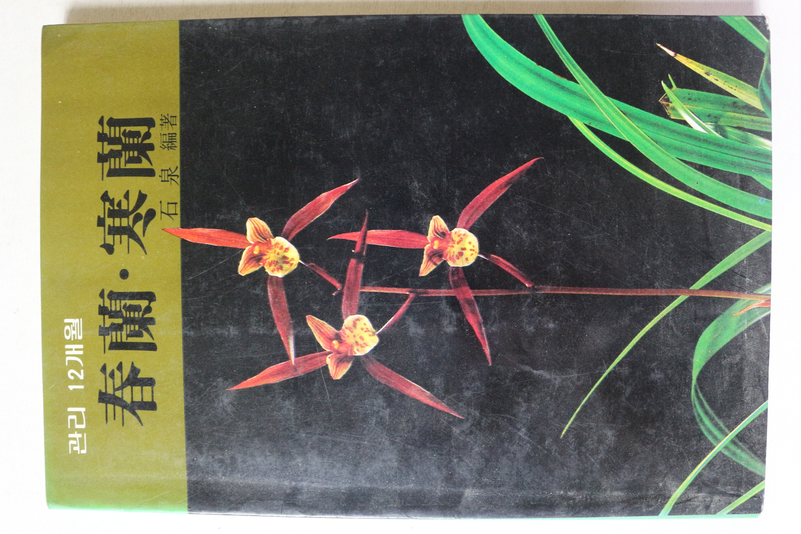 1985년초판 관리 12개월 춘란 한란