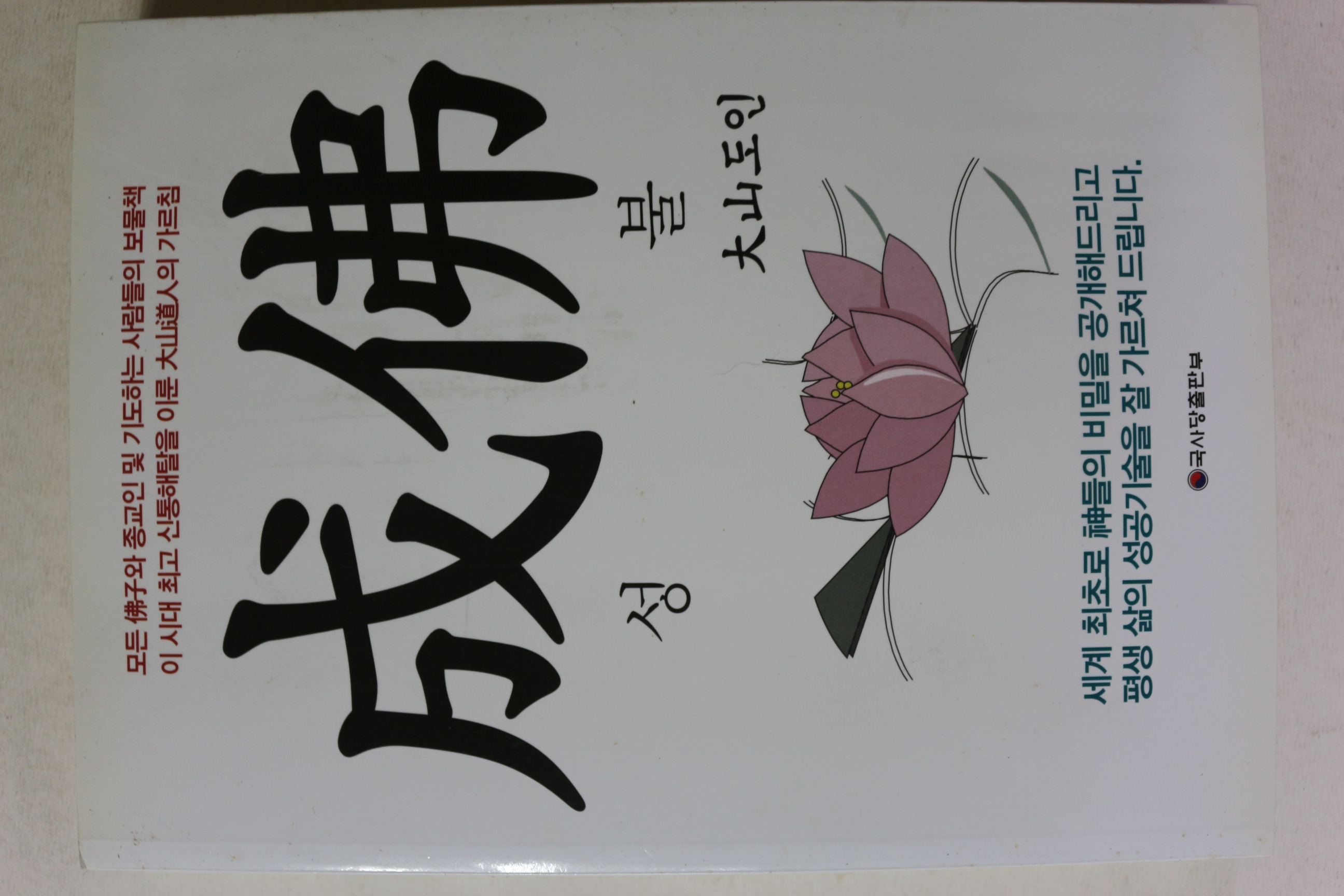 2011년초판 대산도인 성불