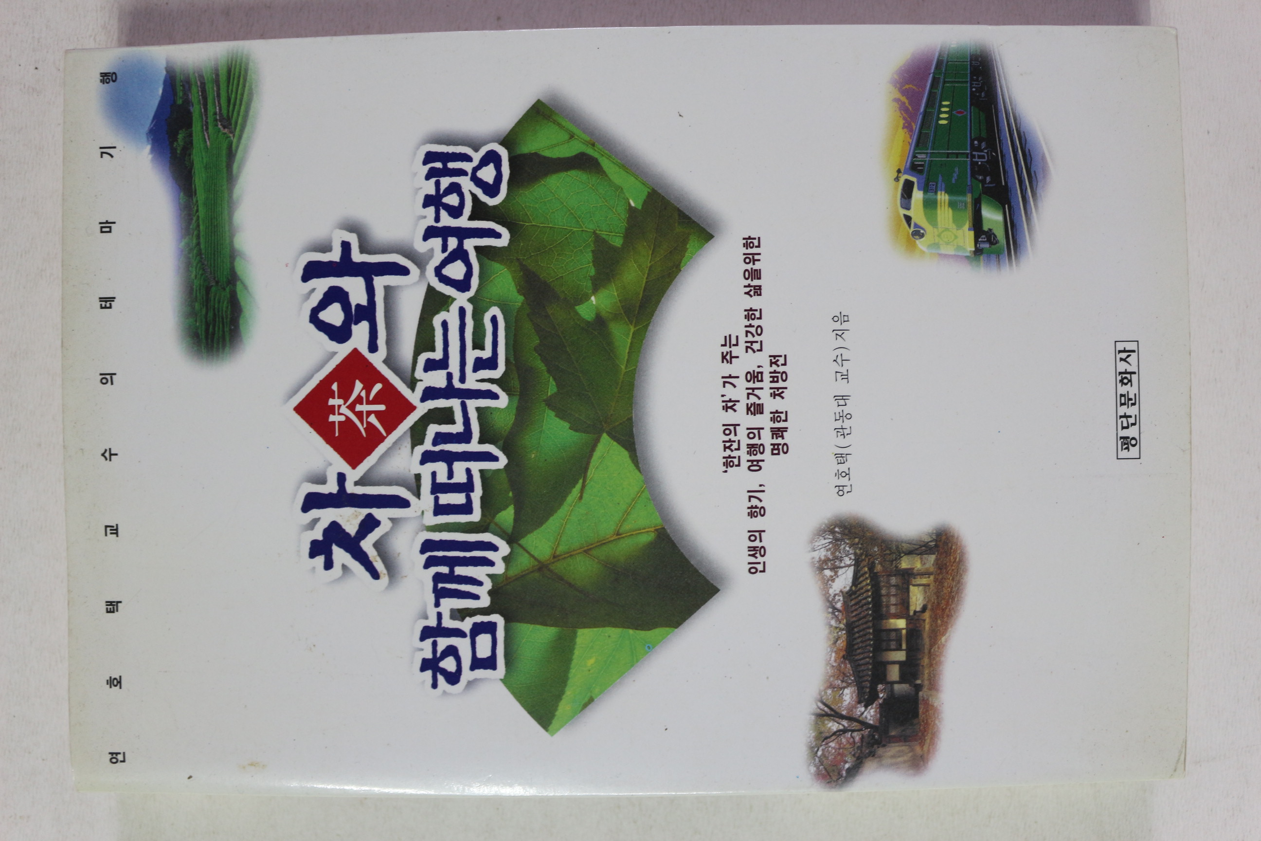 1997년 연호택 차와 함께 떠나는 여행