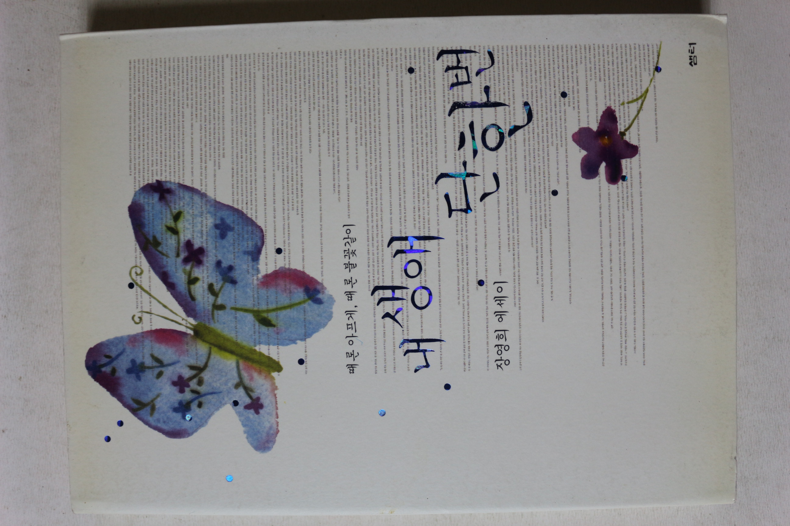 2009년 장영희 에세이 내생애 단한번