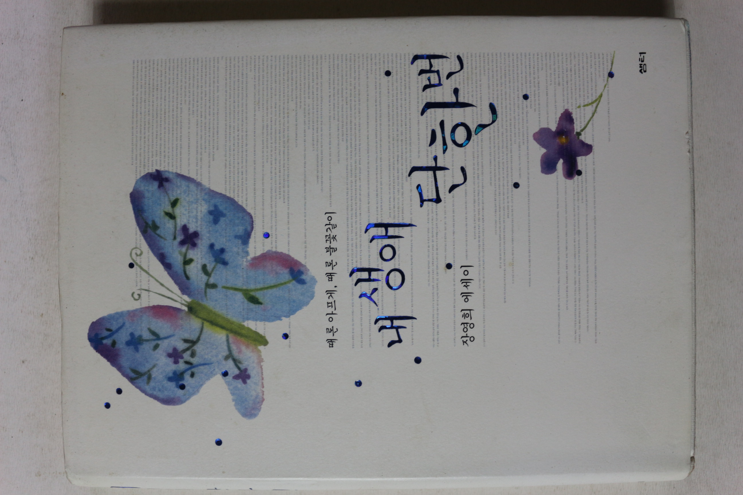 2011년 장영희 에세이 내 생애 단한번