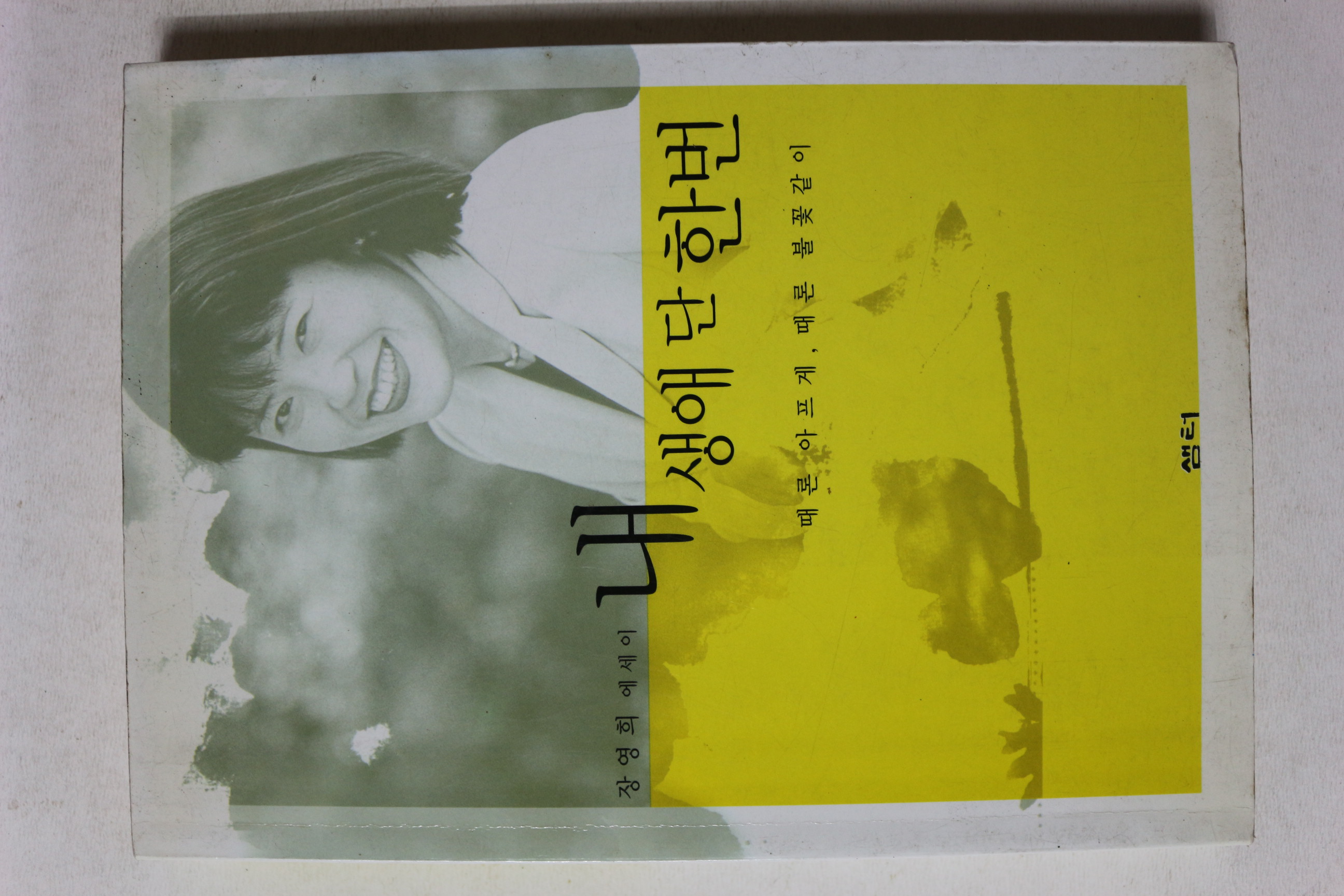 2002년 장영희 에세이 내 생애 단한번