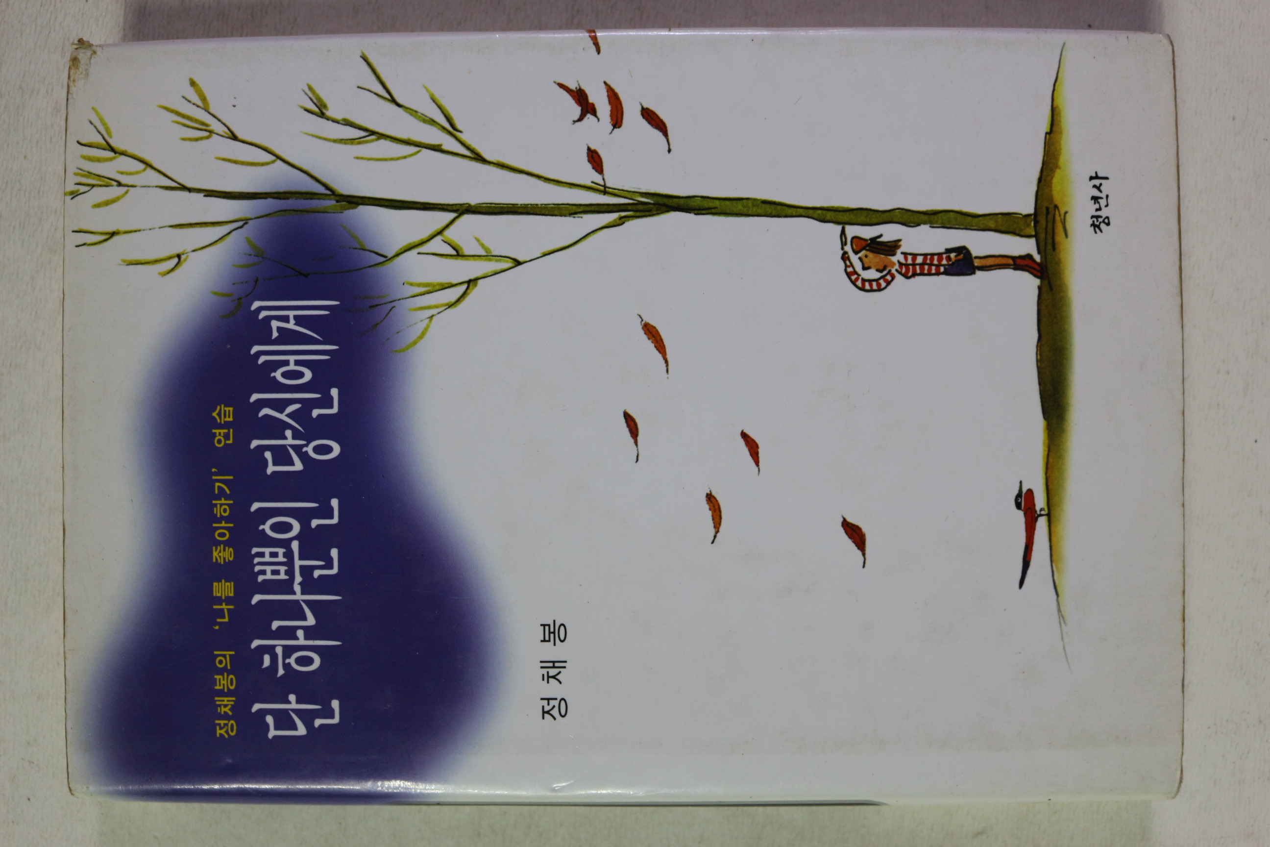 1996년 정채봉 단 하나뿐인 당신에게