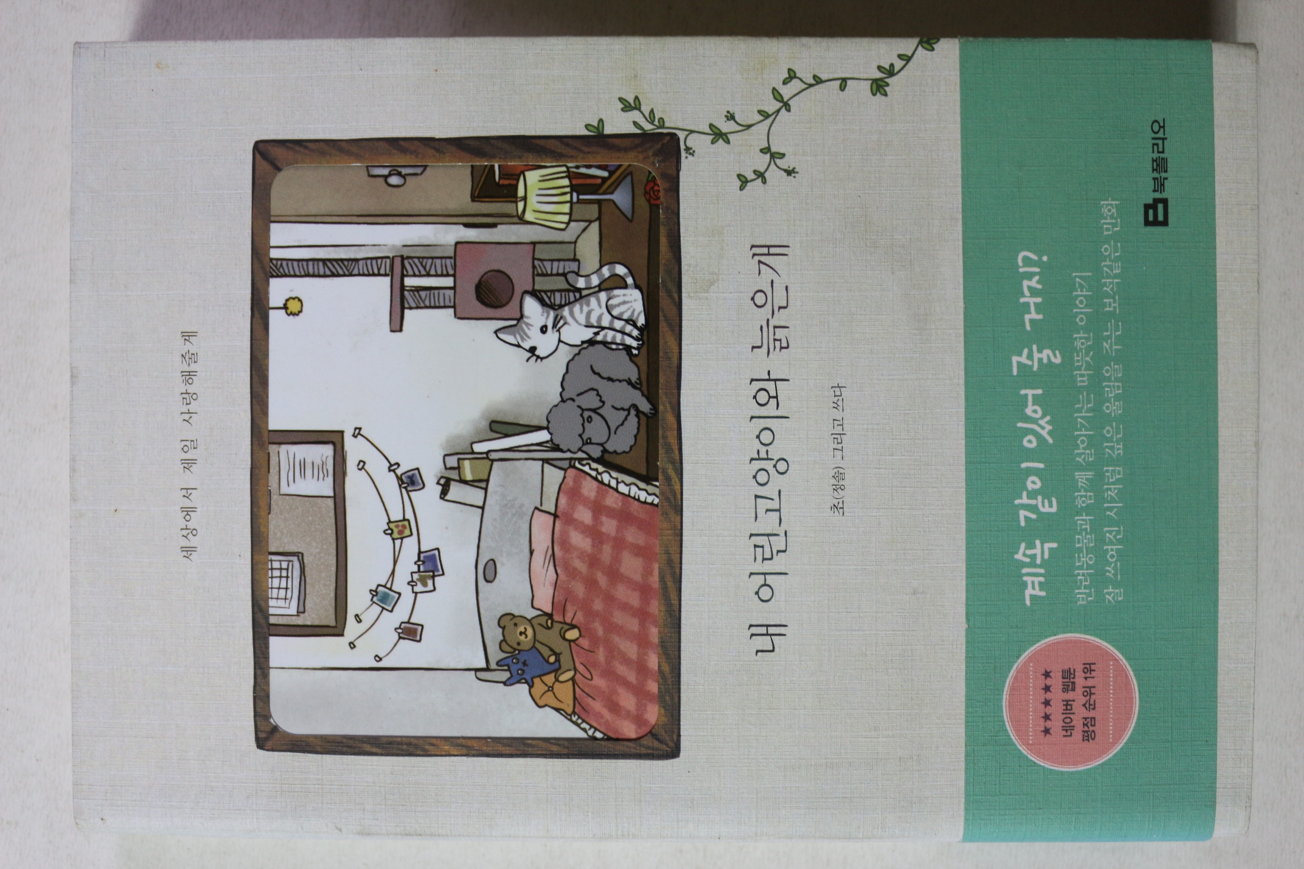 2011년 정솔 내 어린고양이와 늙은 개