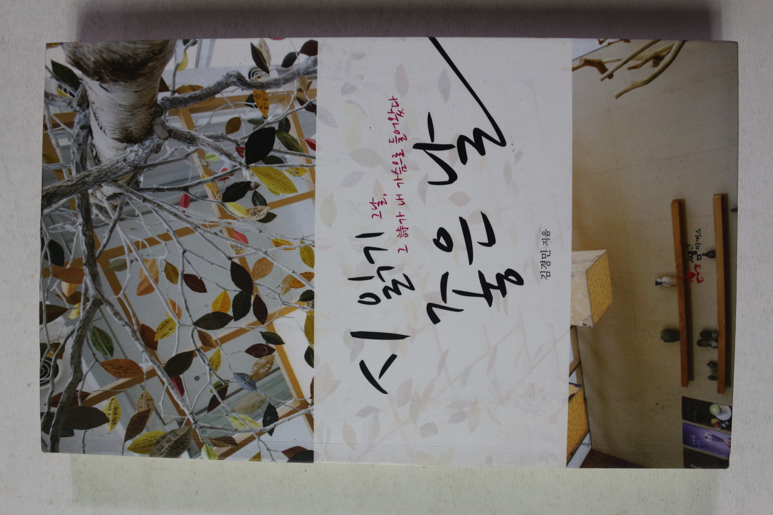 2013년 김경민 시읽기 좋은 날