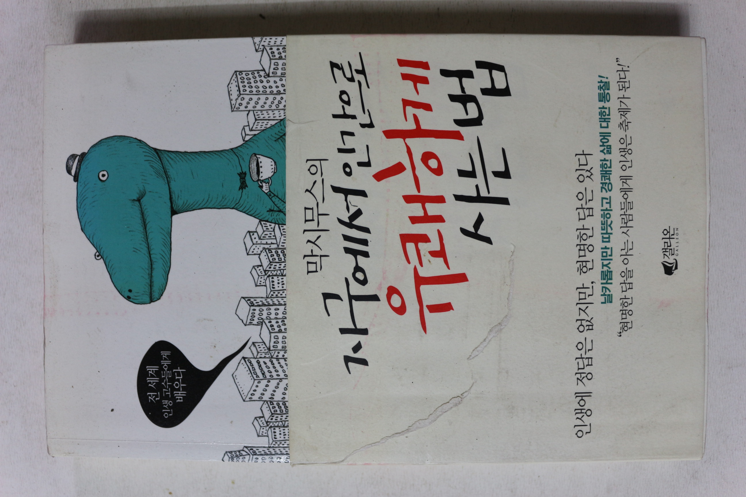 2006년 막시무스의 지구에서 인간으로 유쾌하게 사는 법