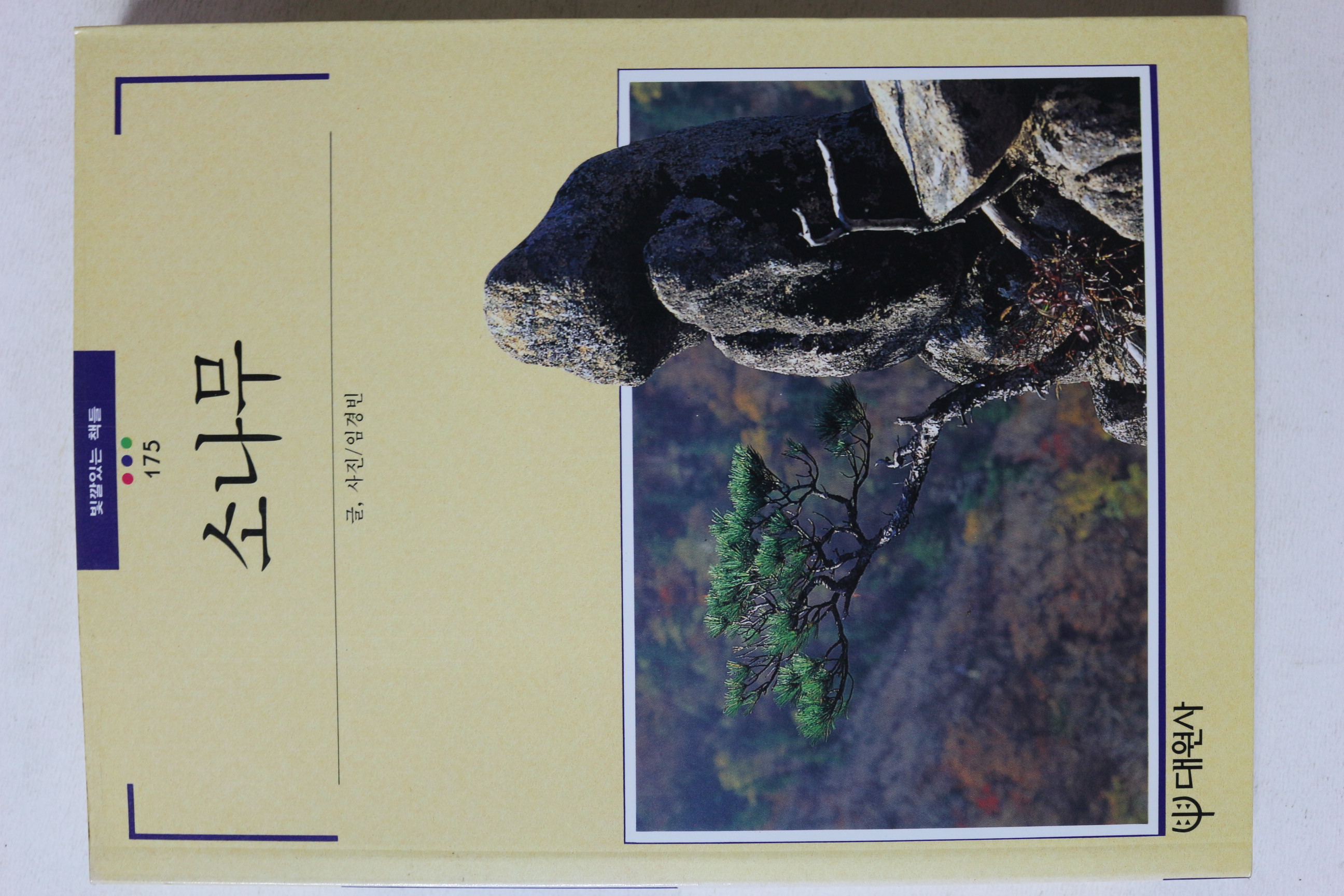 1995년초판 빛깔있는 책들 소나무