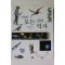 2010년 빌 브라이슨 거의 모든 것의 역사