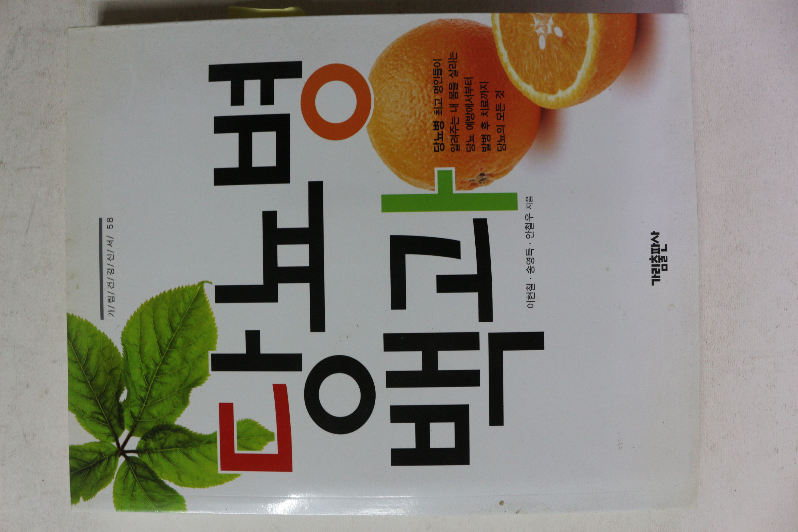 2012년 당뇨병 백과