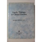 Family Therapy in Clinical Practice