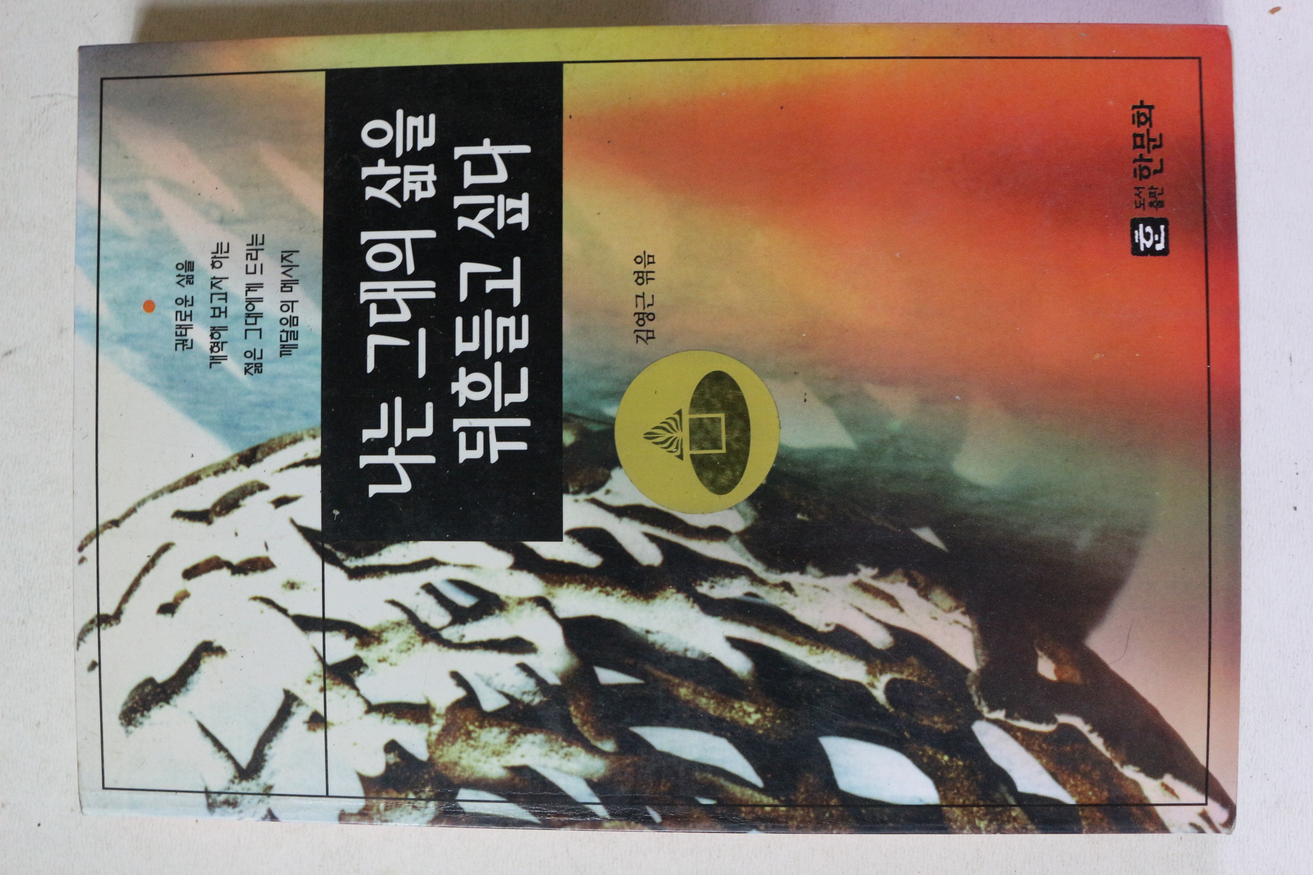 1995년 김영근 나는 그대의 삶을 뒤흔들고 싶다