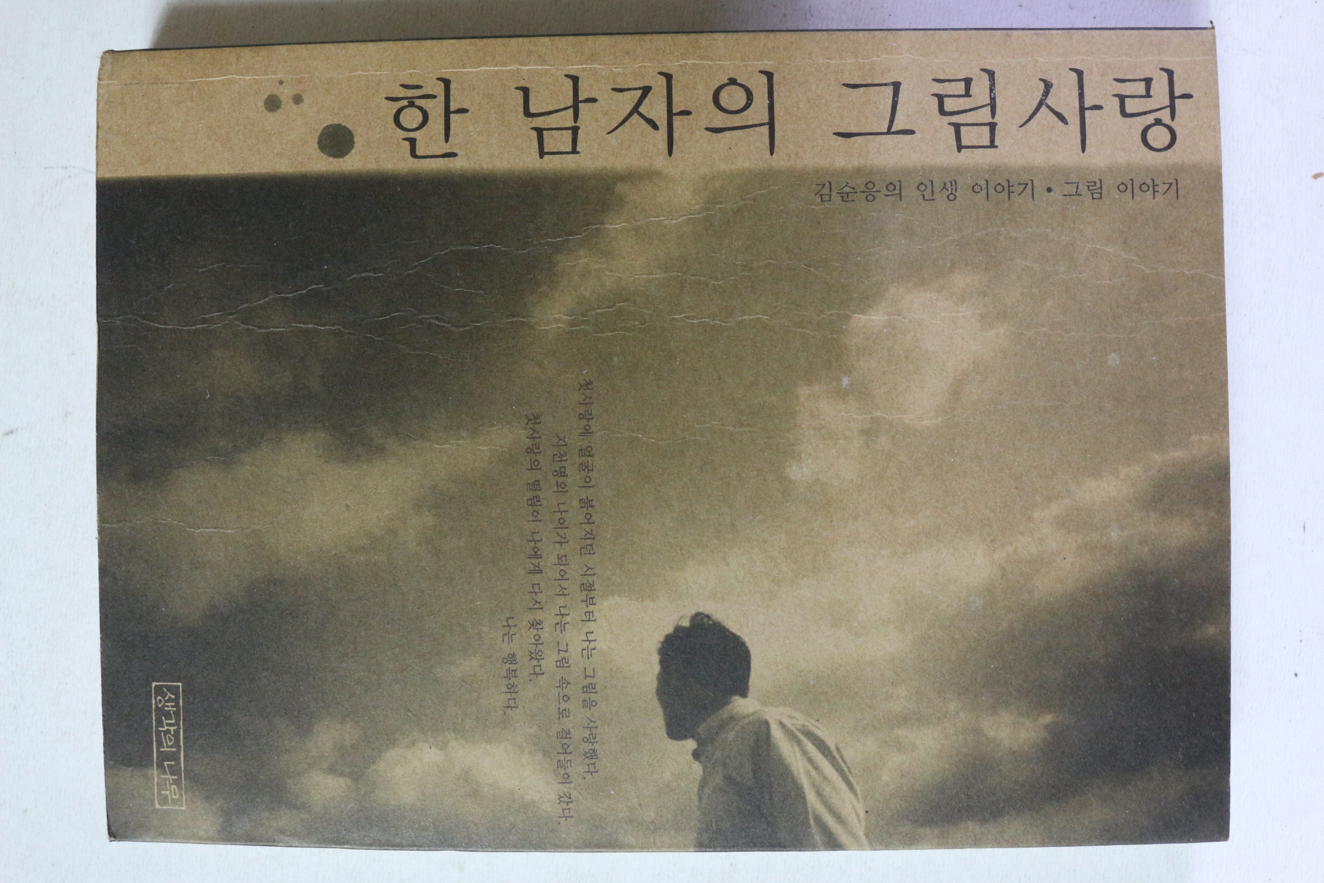 2003년초판 김순웅 한남자의 그림사랑