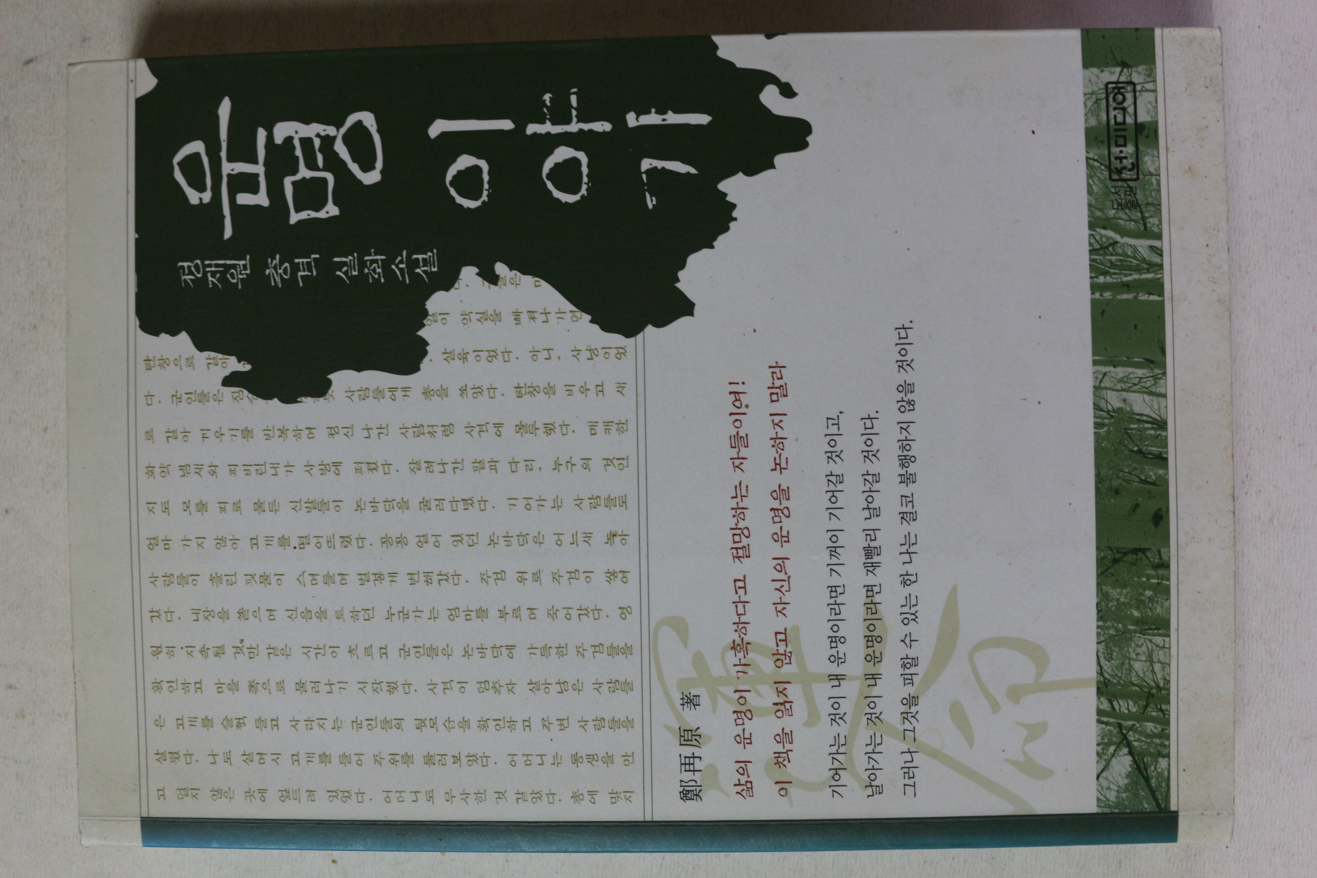 2006년 정재원 충격실화소설 운명 이야기