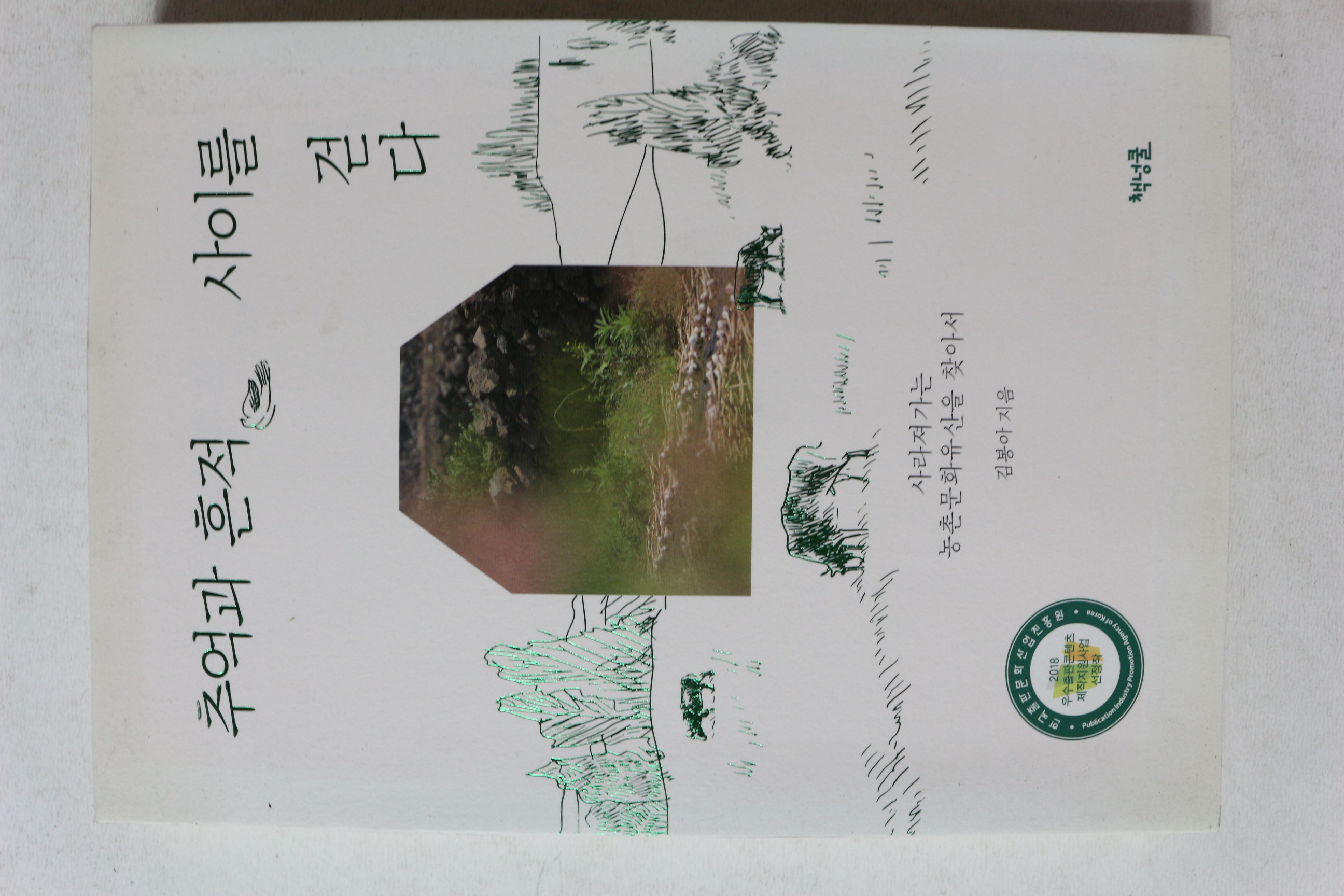 2019년 김봉아 추억과 흔적사이를 걷다