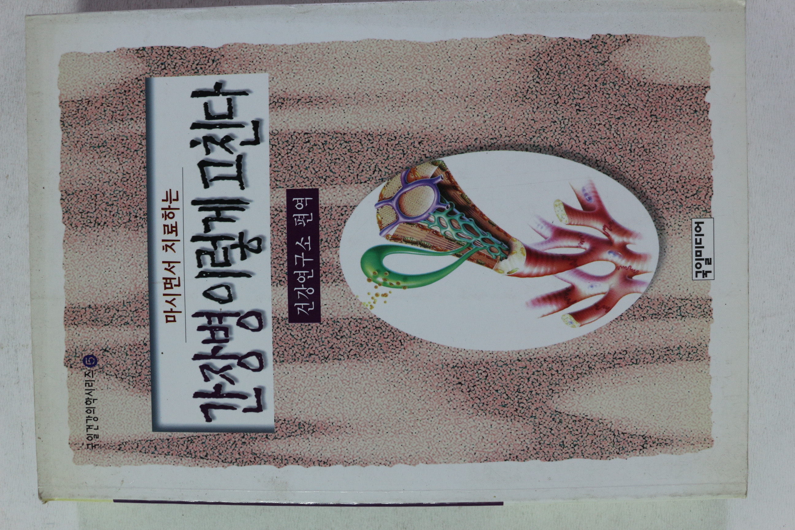 1997년 간장병 이렇게 고친다