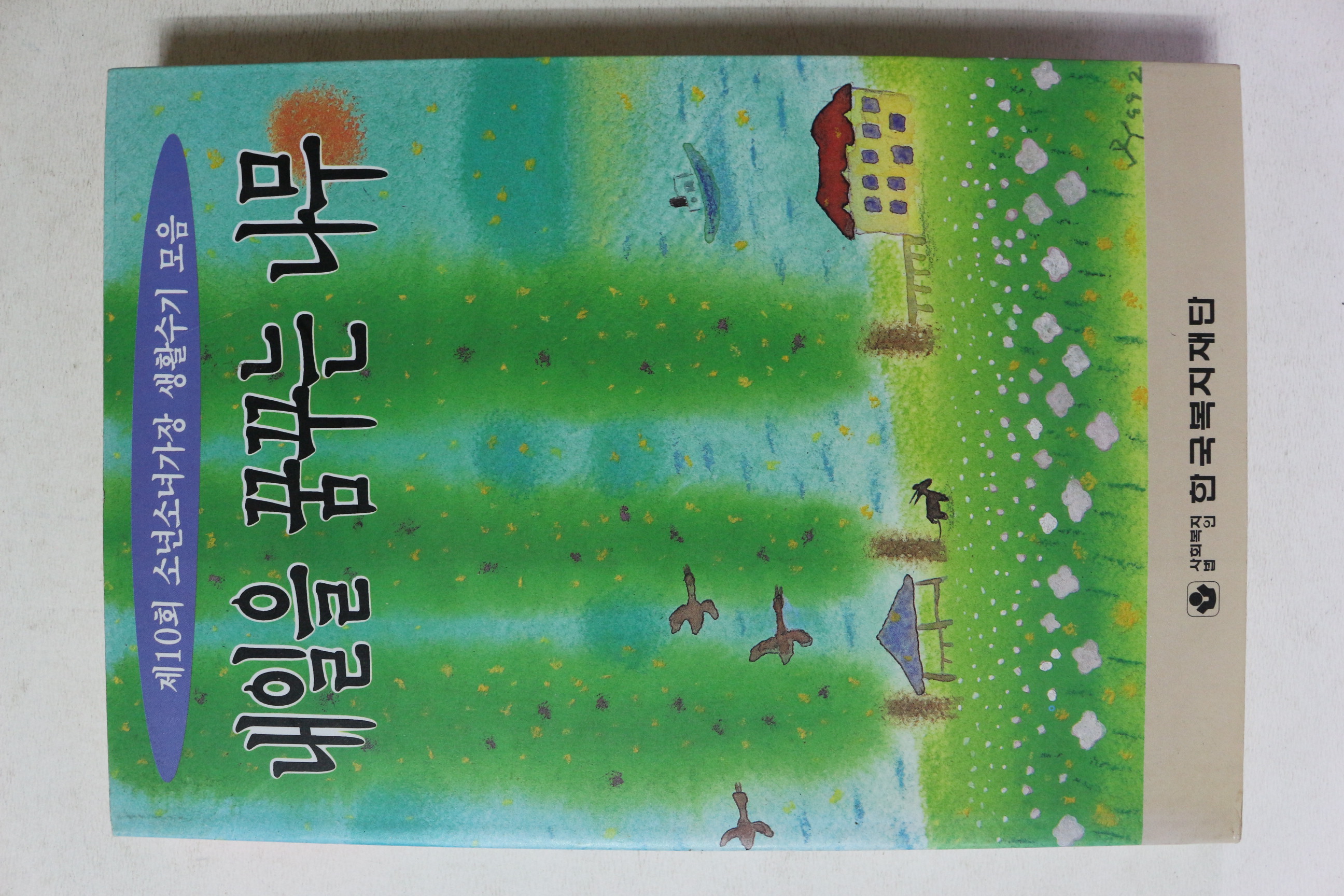 1996년 내일을 꿈꾸는 나무