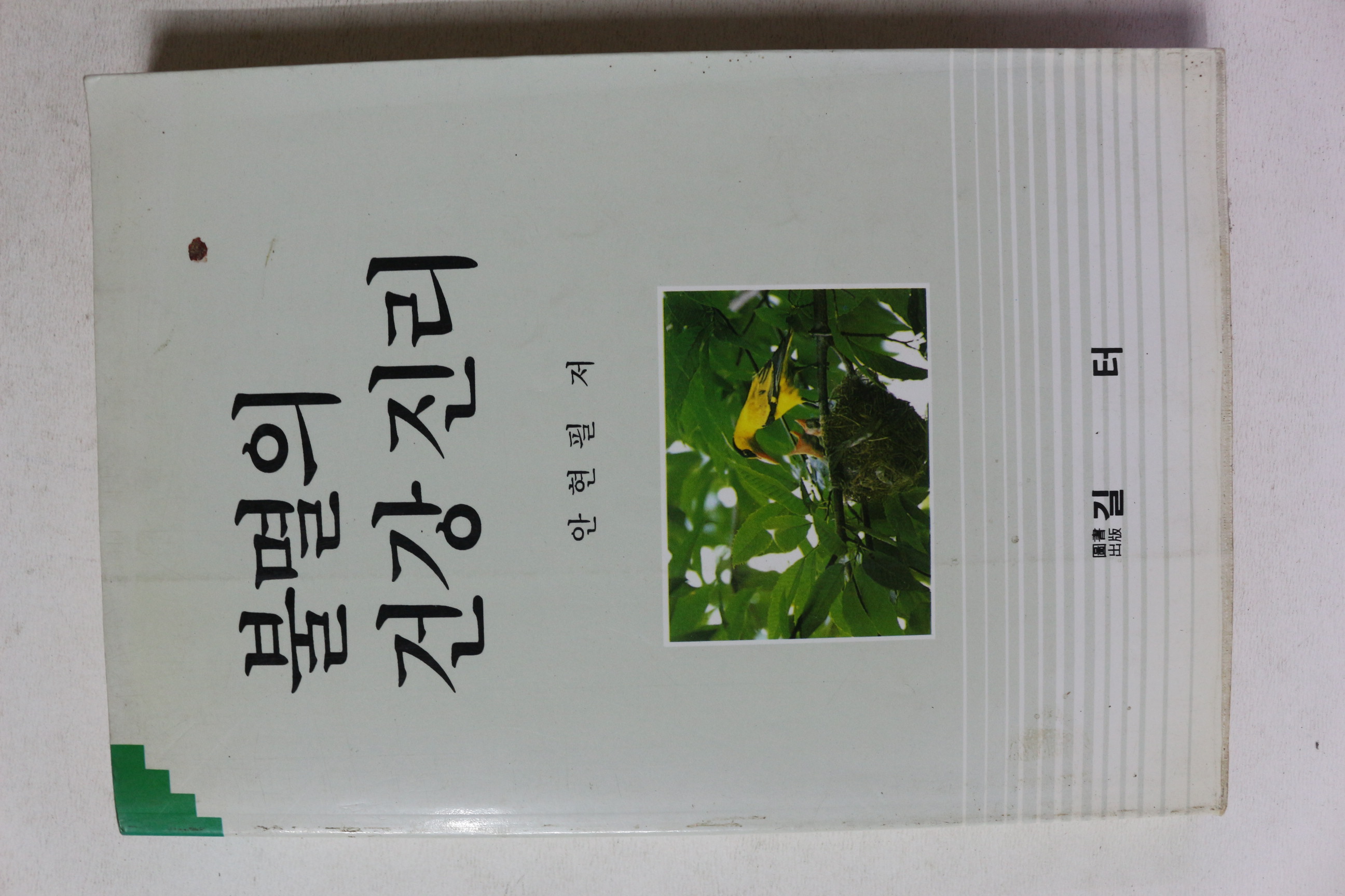 1994년 안현필 불멸의 건강진리
