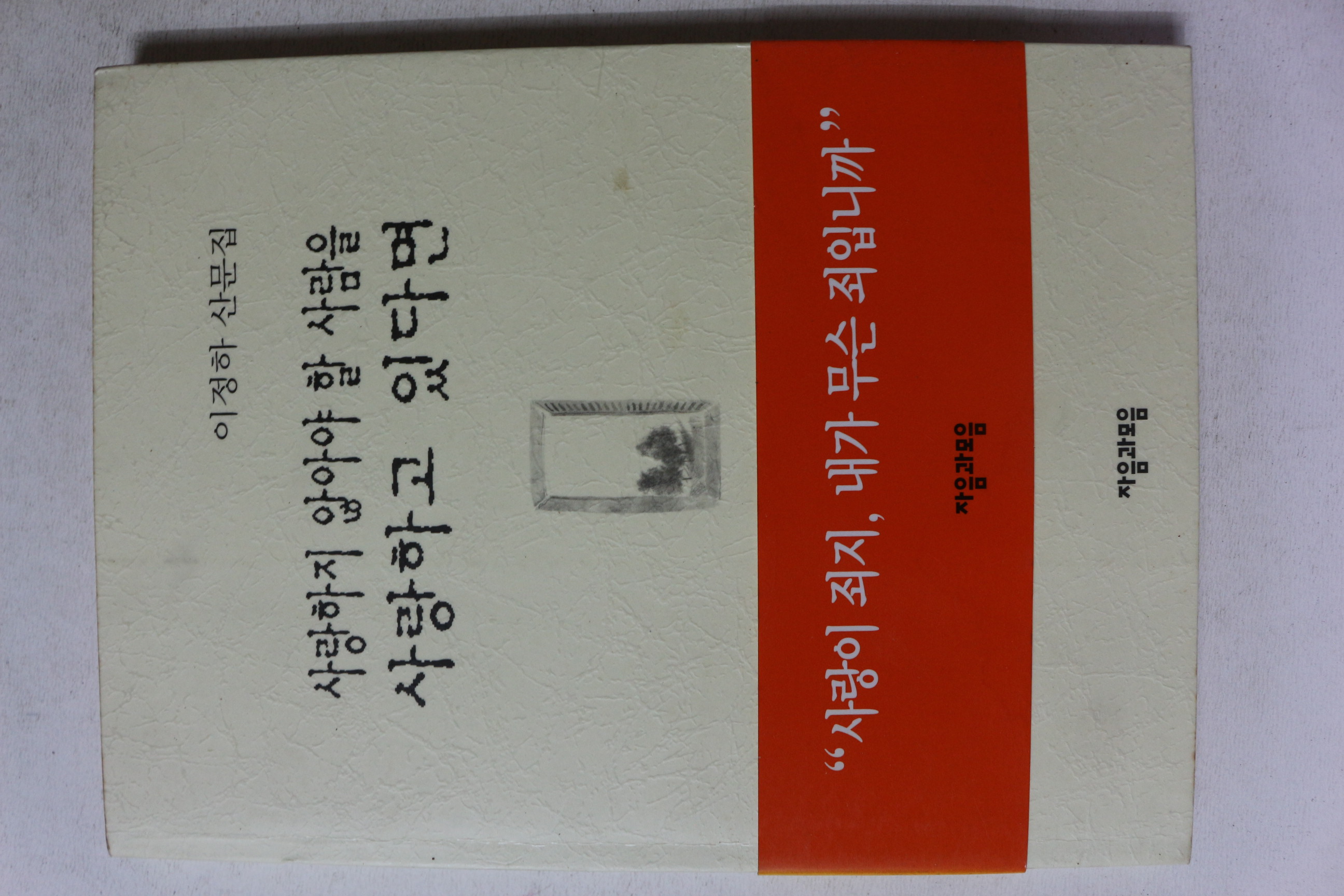 1998년 이정하 산문집 사랑하지 않아야 할 사람을 사랑하고 있다면