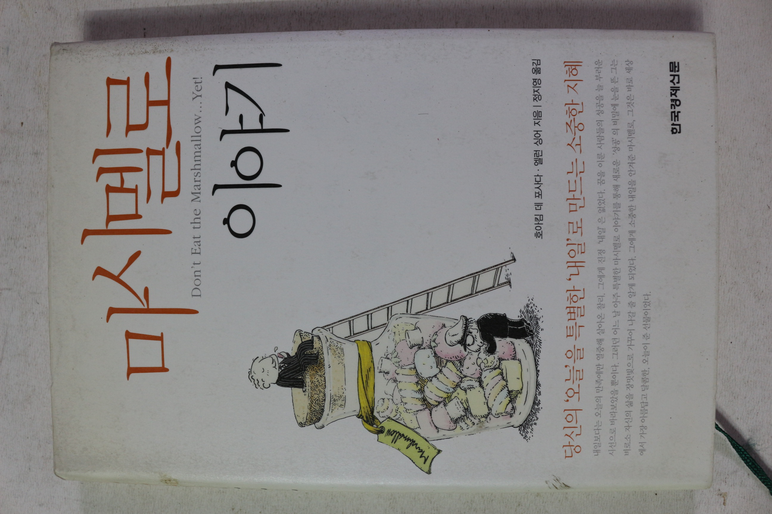 2006년 마시멜로 이야기