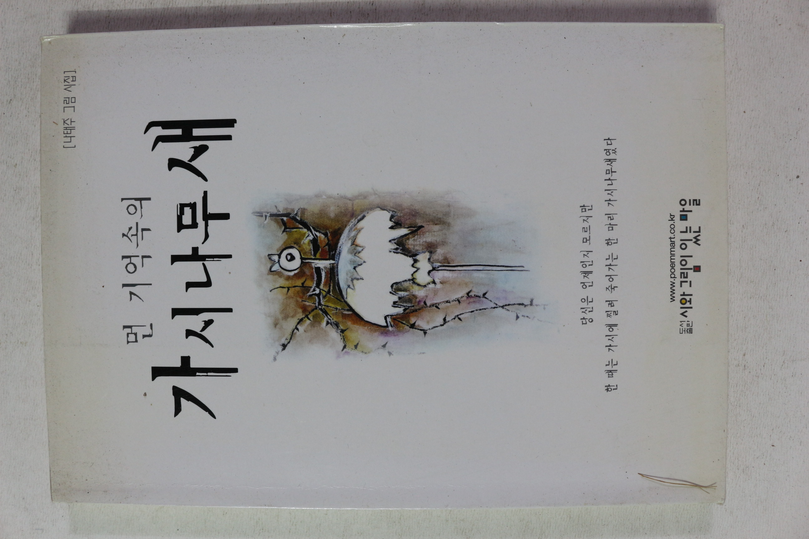 1999년초판 나태주 그림시집 먼 기억속의 가시나무새