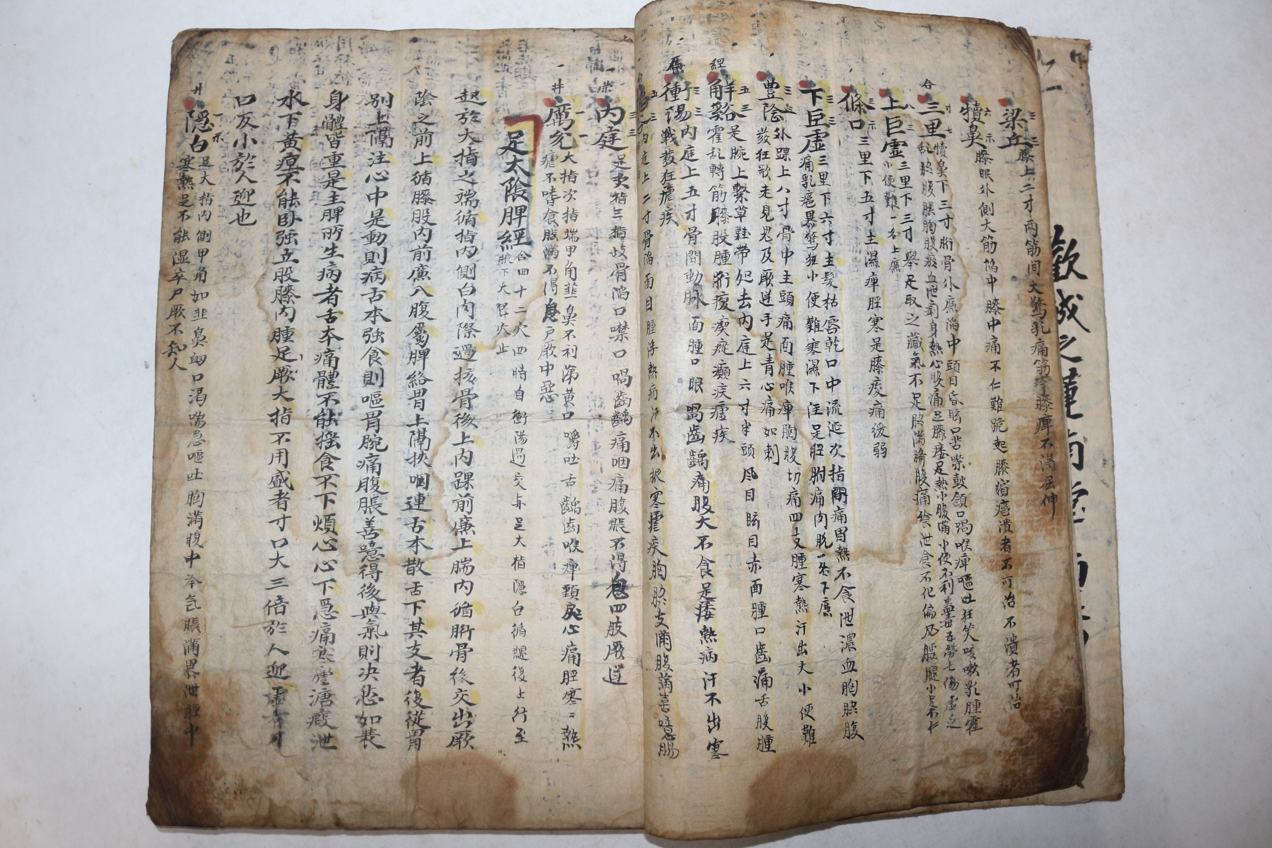 300년이상된 고필사본 의서 편화유경(扁華遺經)