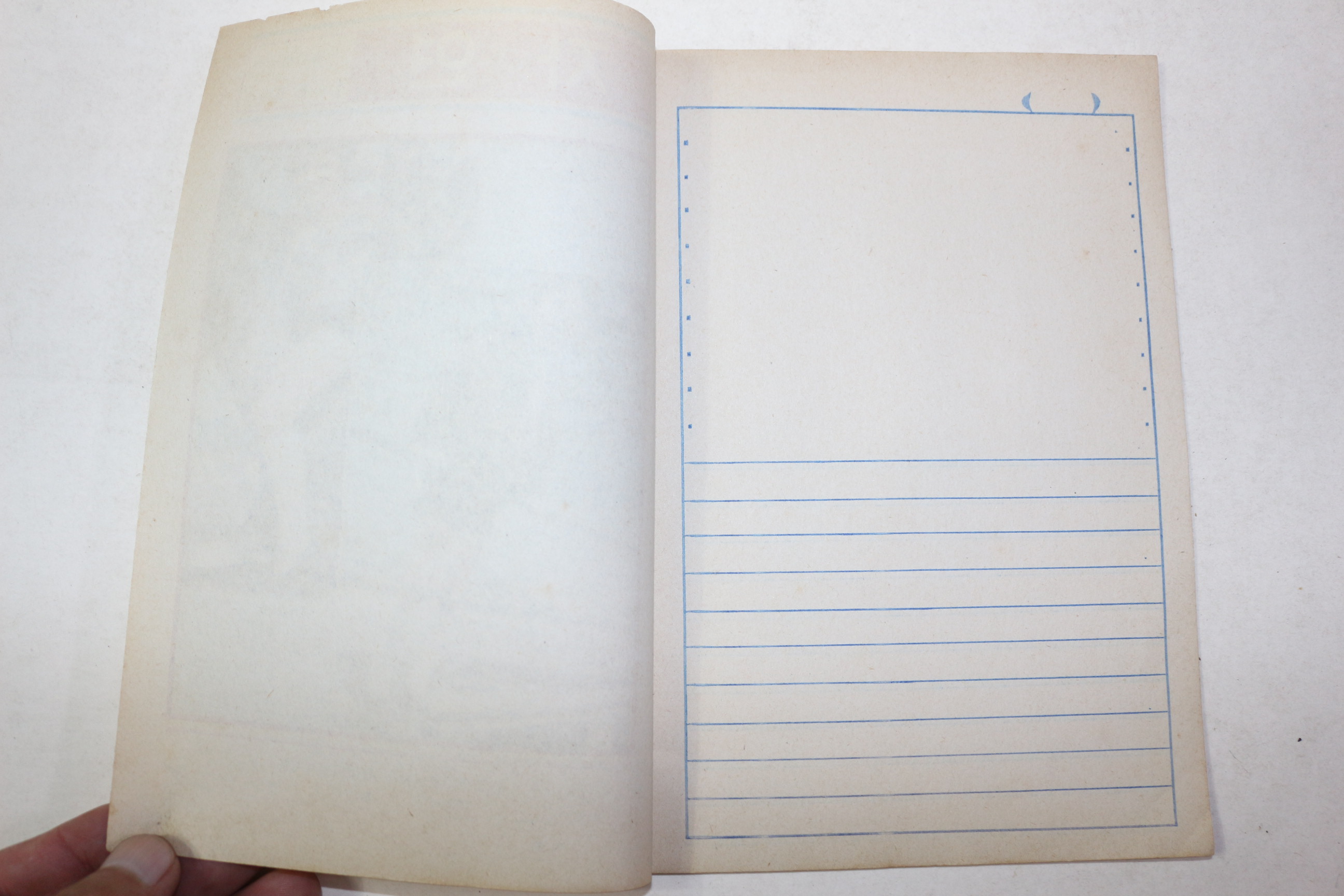 1950년대 미사용 국민학교 자연 공책