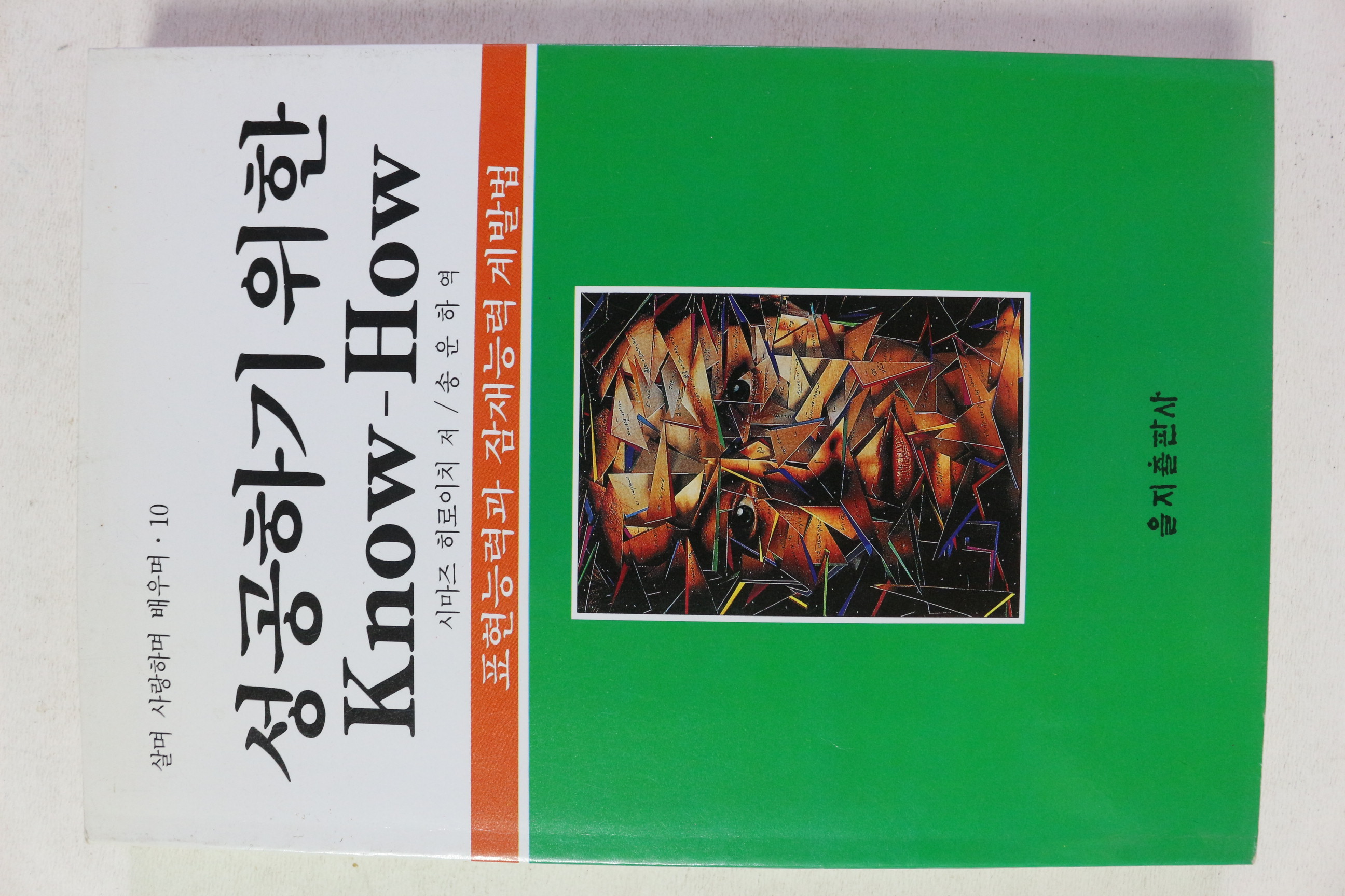 1995년 시마즈 히로이치 성공하기 위한 노하우