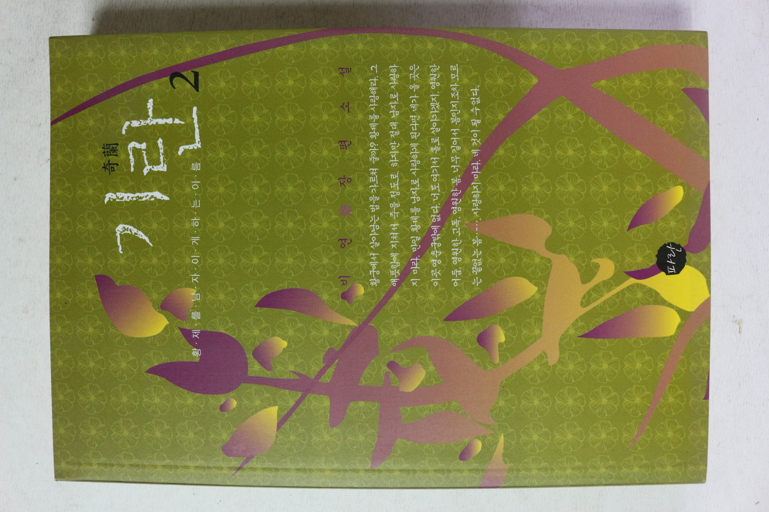 2010년 비연 장편소설 기란 2