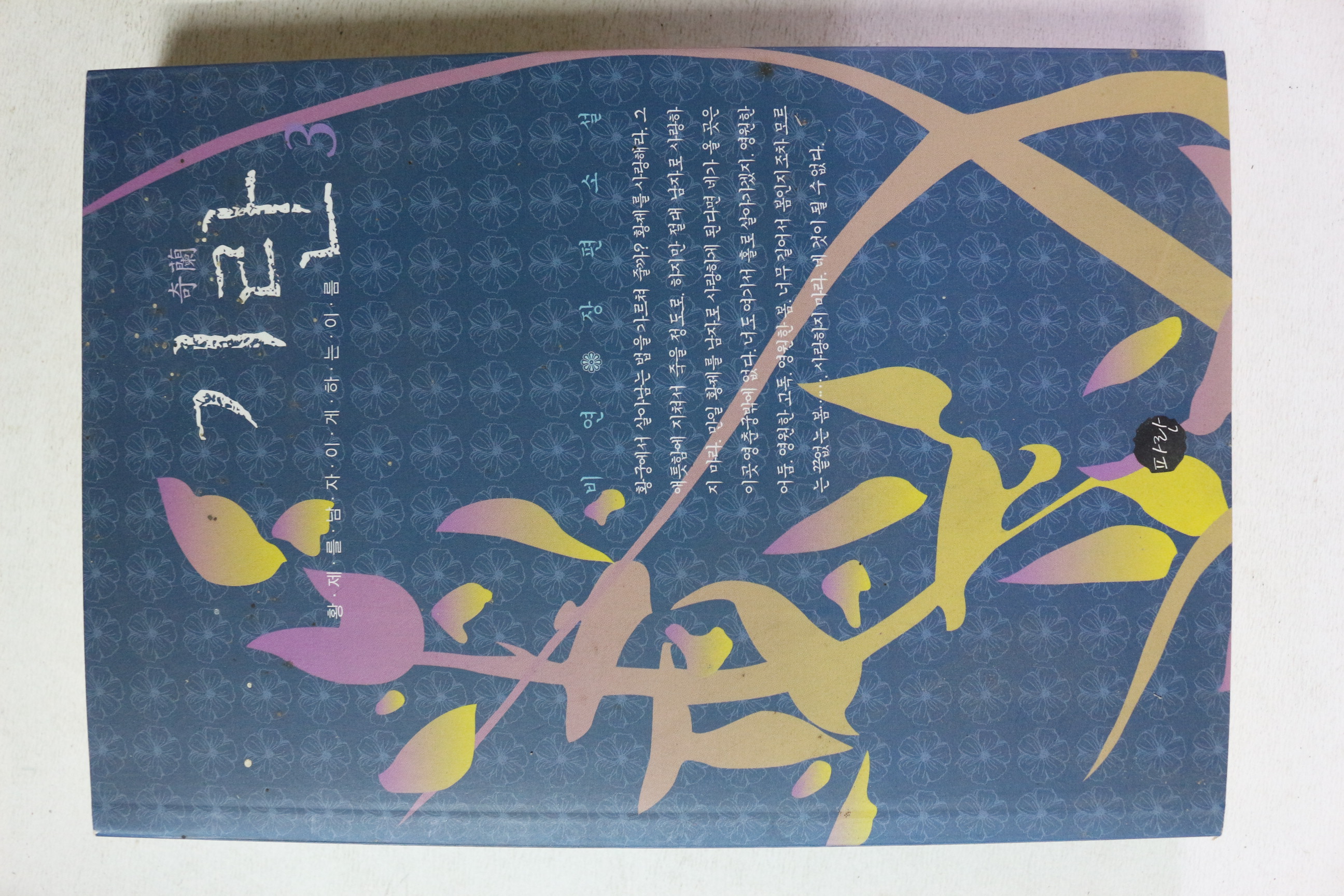 2010년 비연 장편소설 기란 3