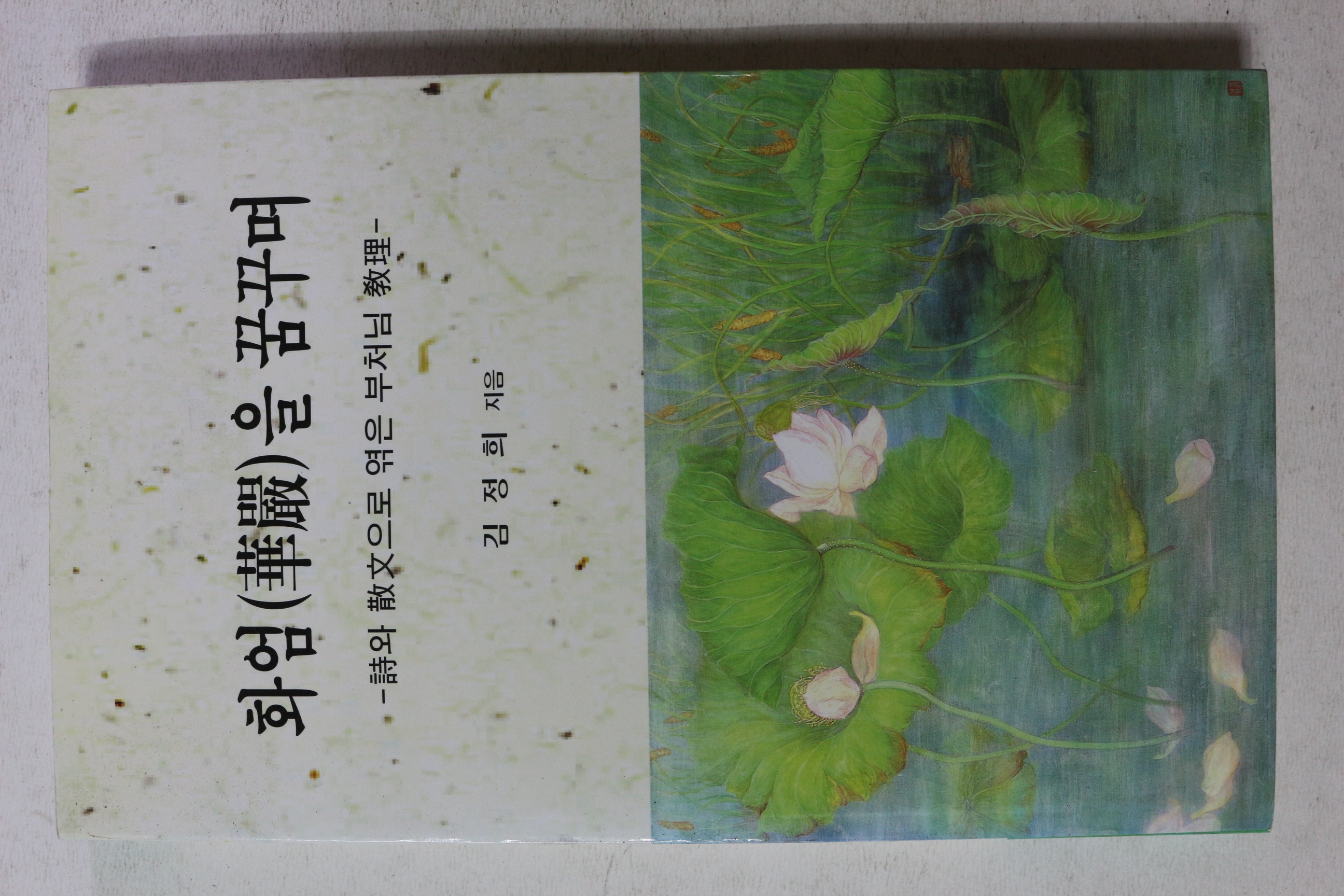 2004년초판 김정희  화엄을 꿈구며