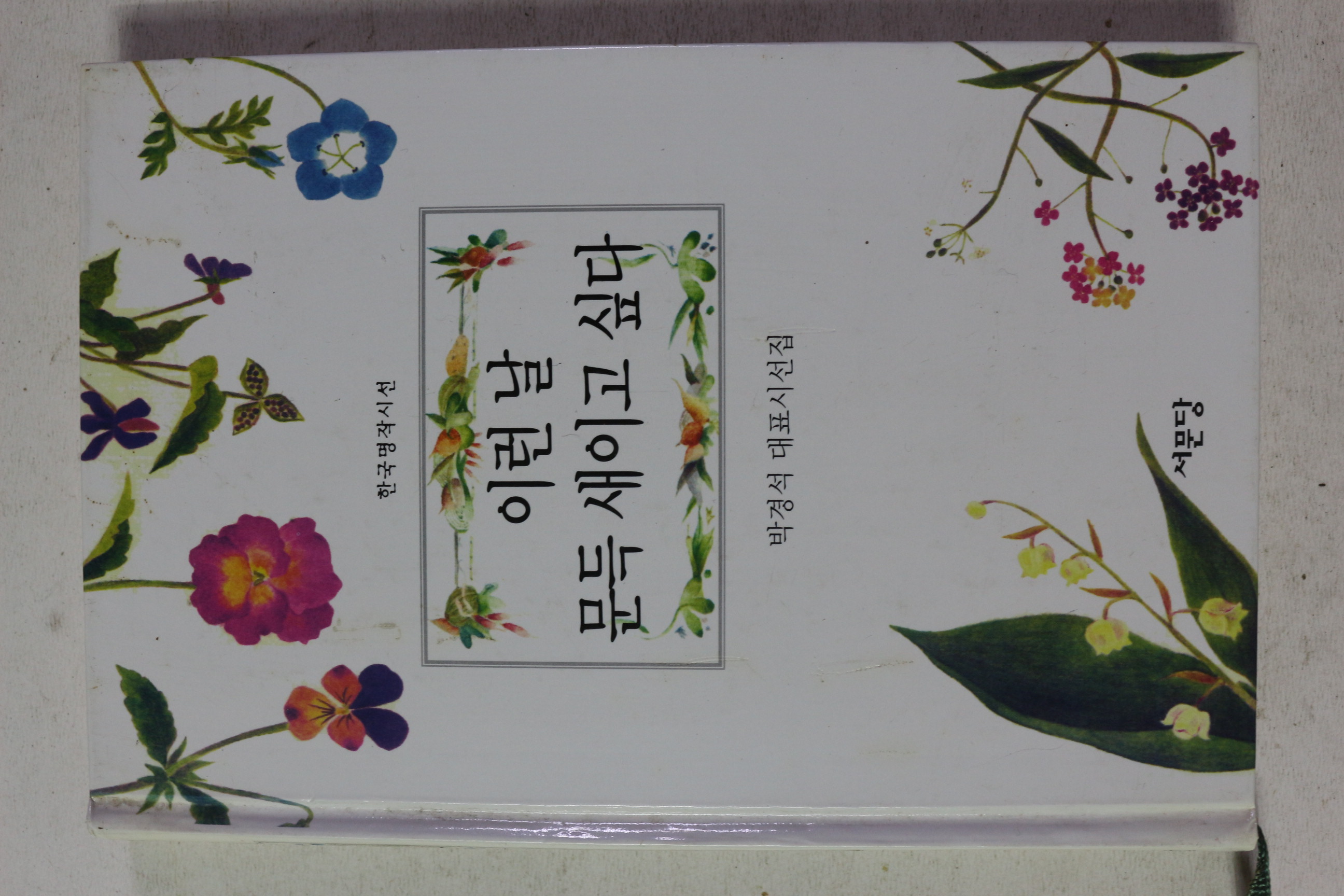 1999년초판 박경석 이런날 문득 새이고 싶다