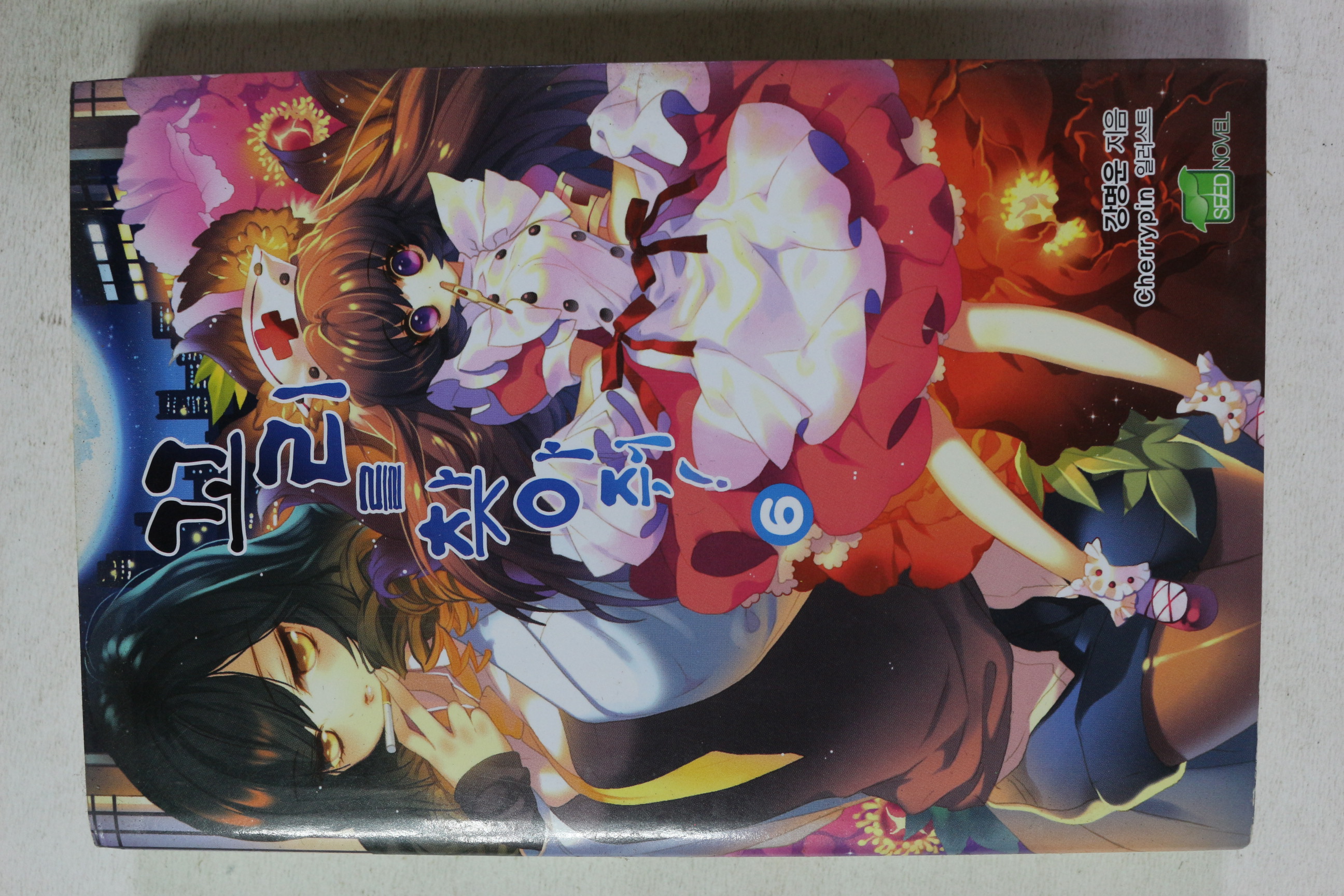 2009년초판 꼬리를 찾아줘 6